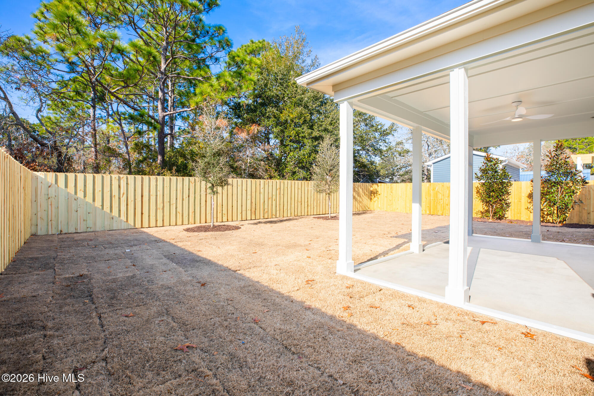 100547169 | Photo 35