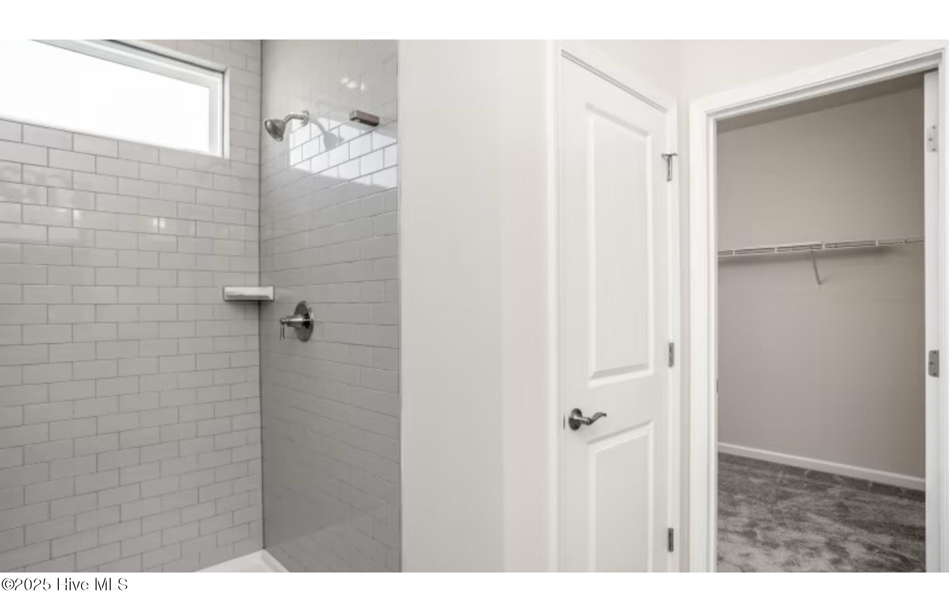 100534843 | Photo 11