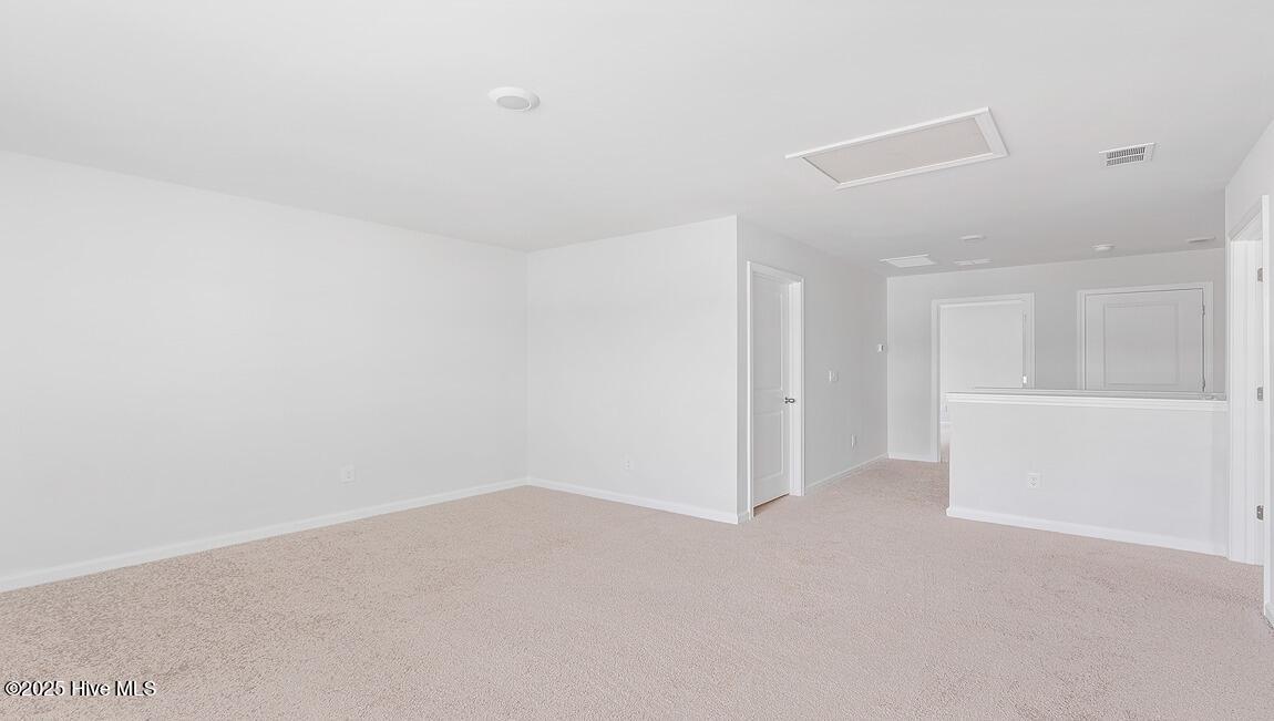 1054 Pampas Grass Drive Lot 335, Castle Hayne, NC 28429 – photo 13: Similar Home