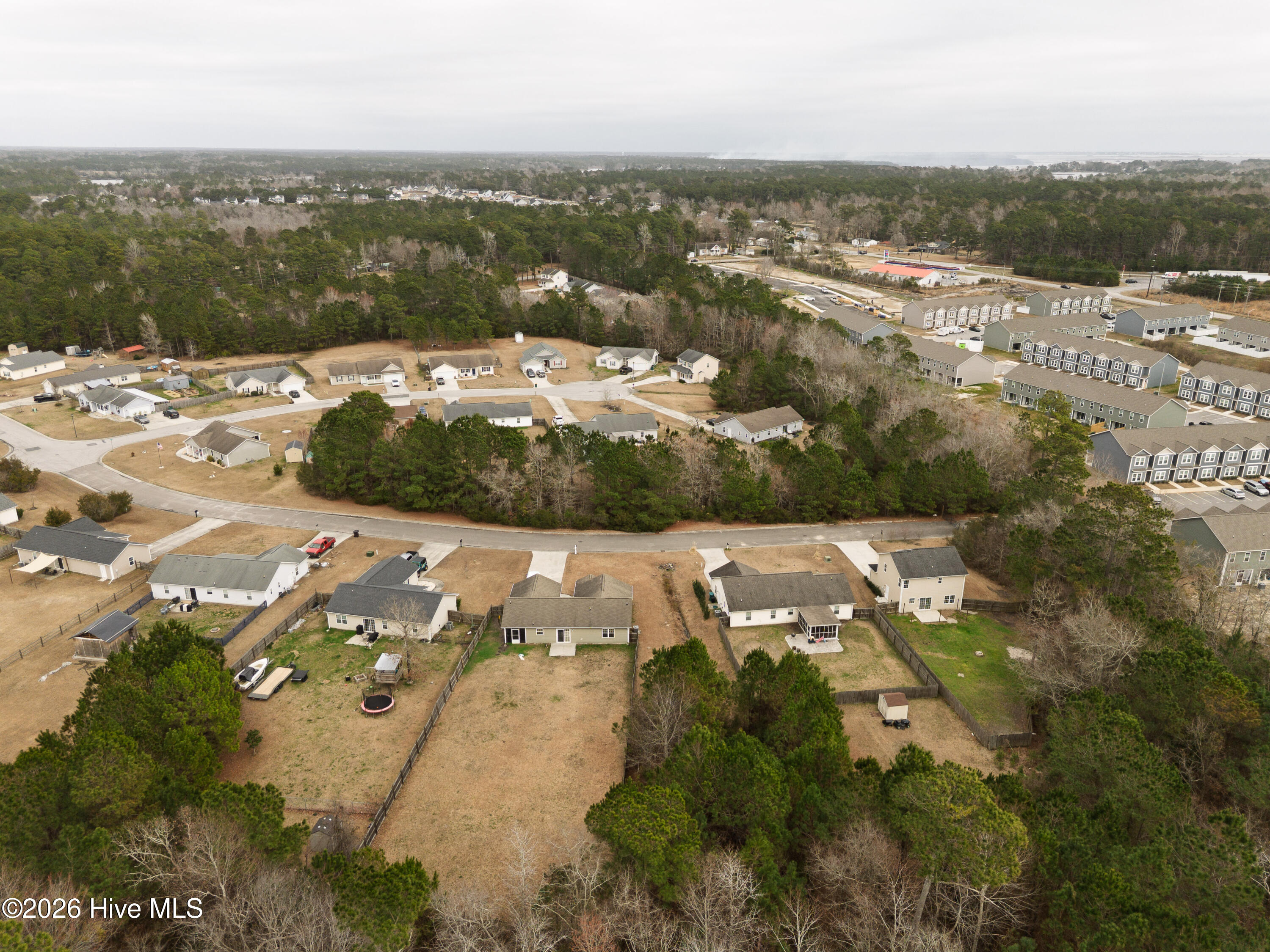 100557262 | Photo 64