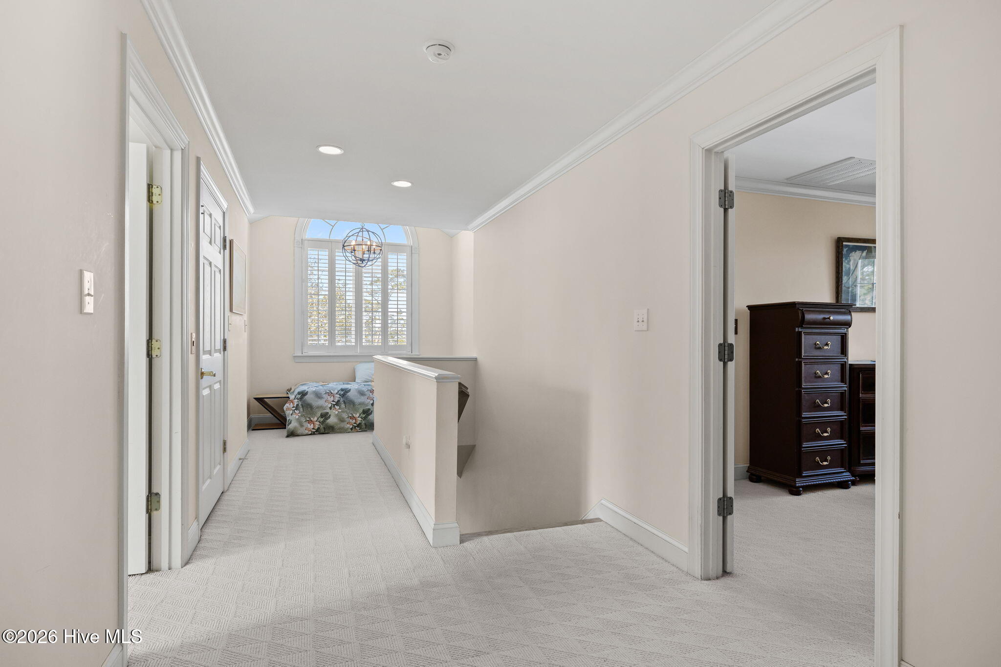 100556674 | Photo 32