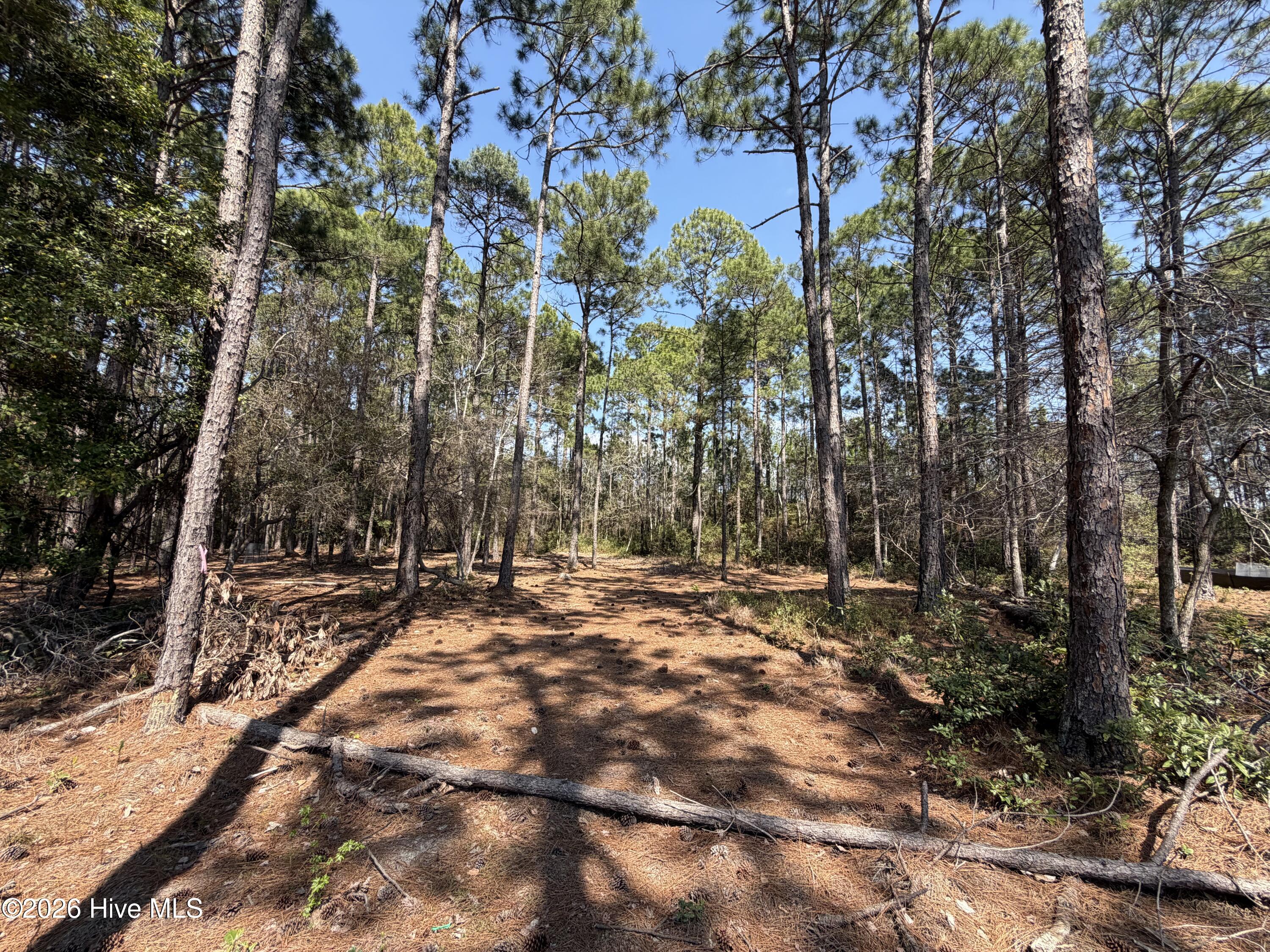 6786 Holton Place, Ocean Isle Beach, NC, 28469