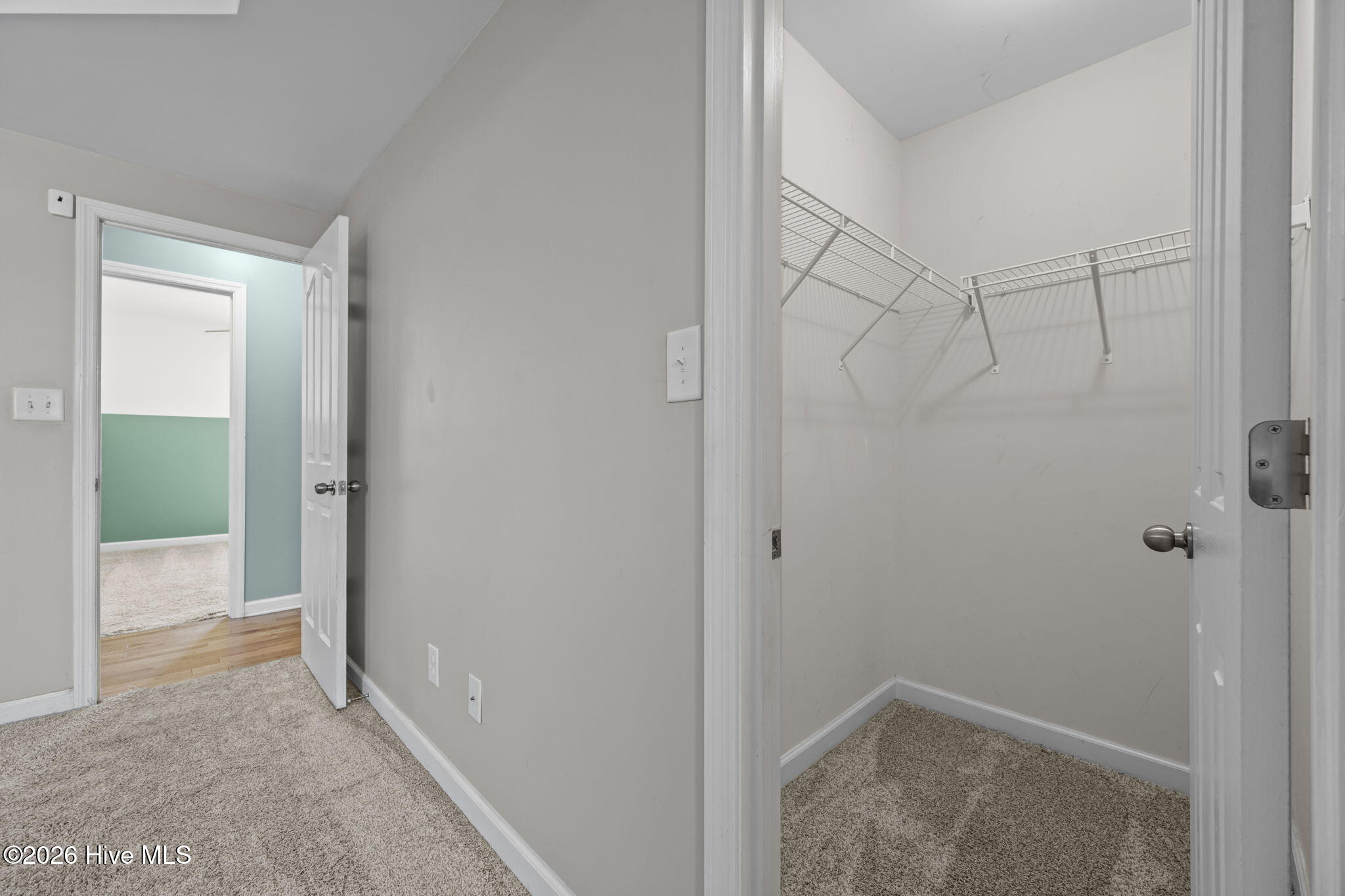 100553534 | Photo 22