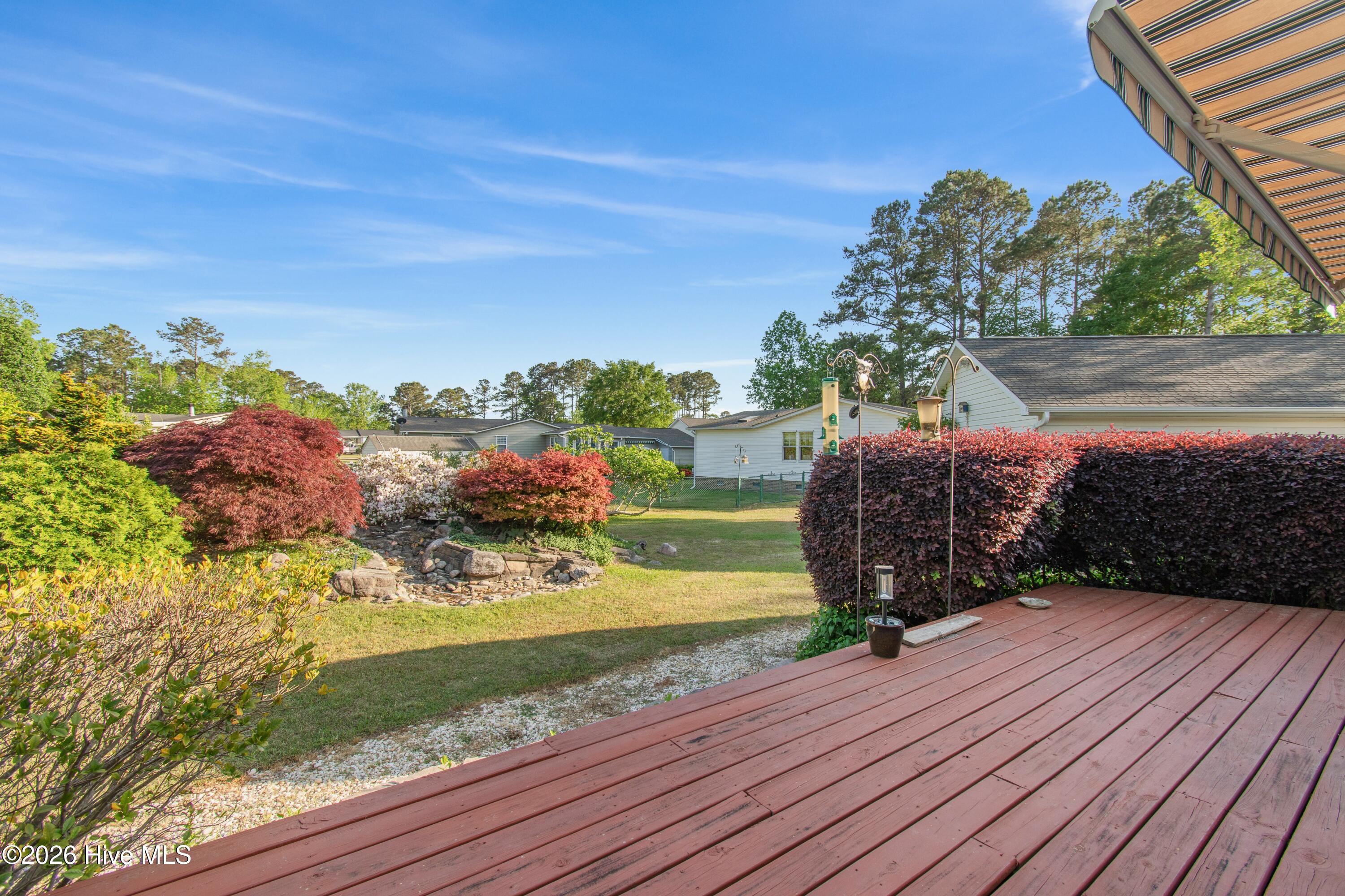 100568231 | Photo 10