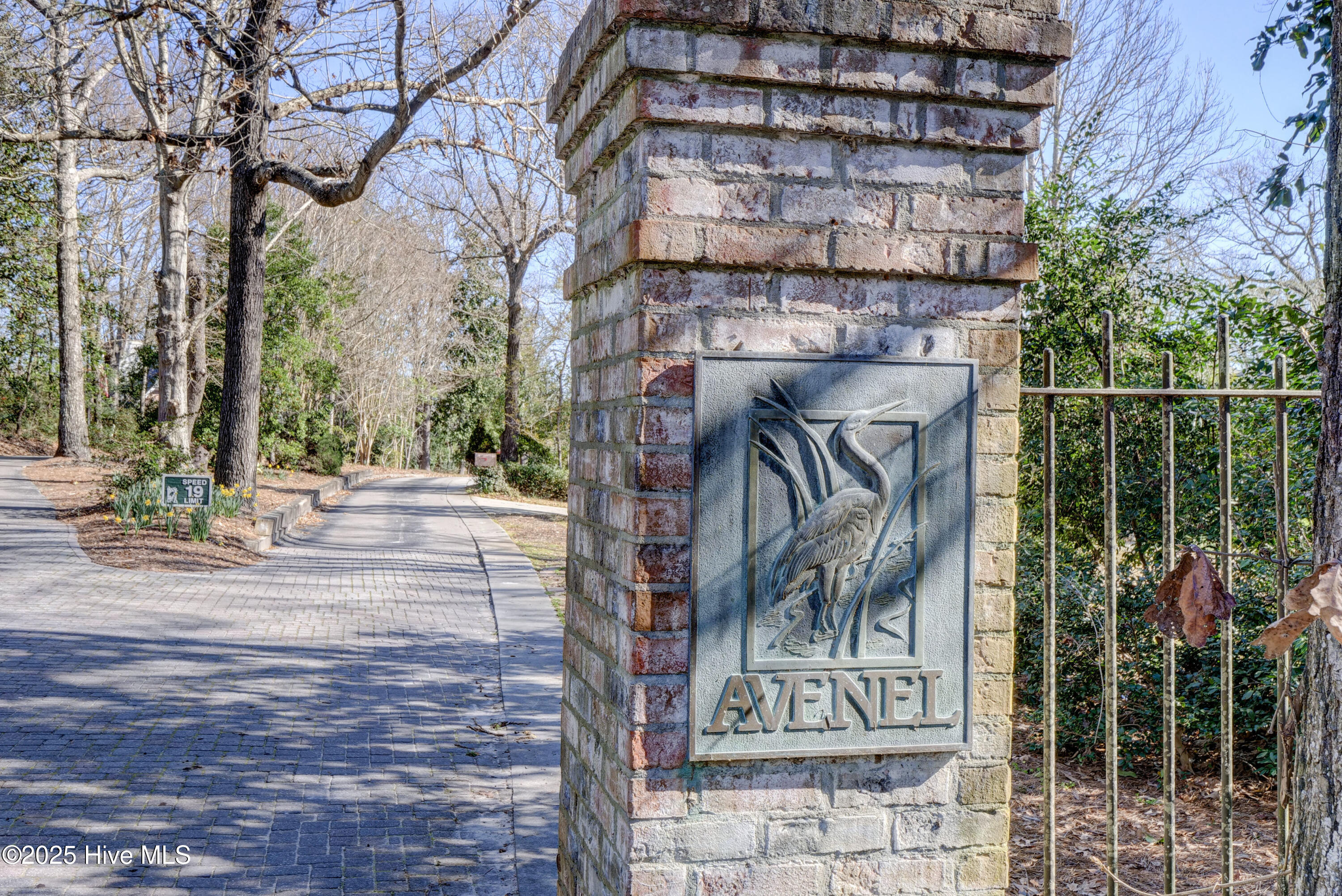 100539062 | Photo 69