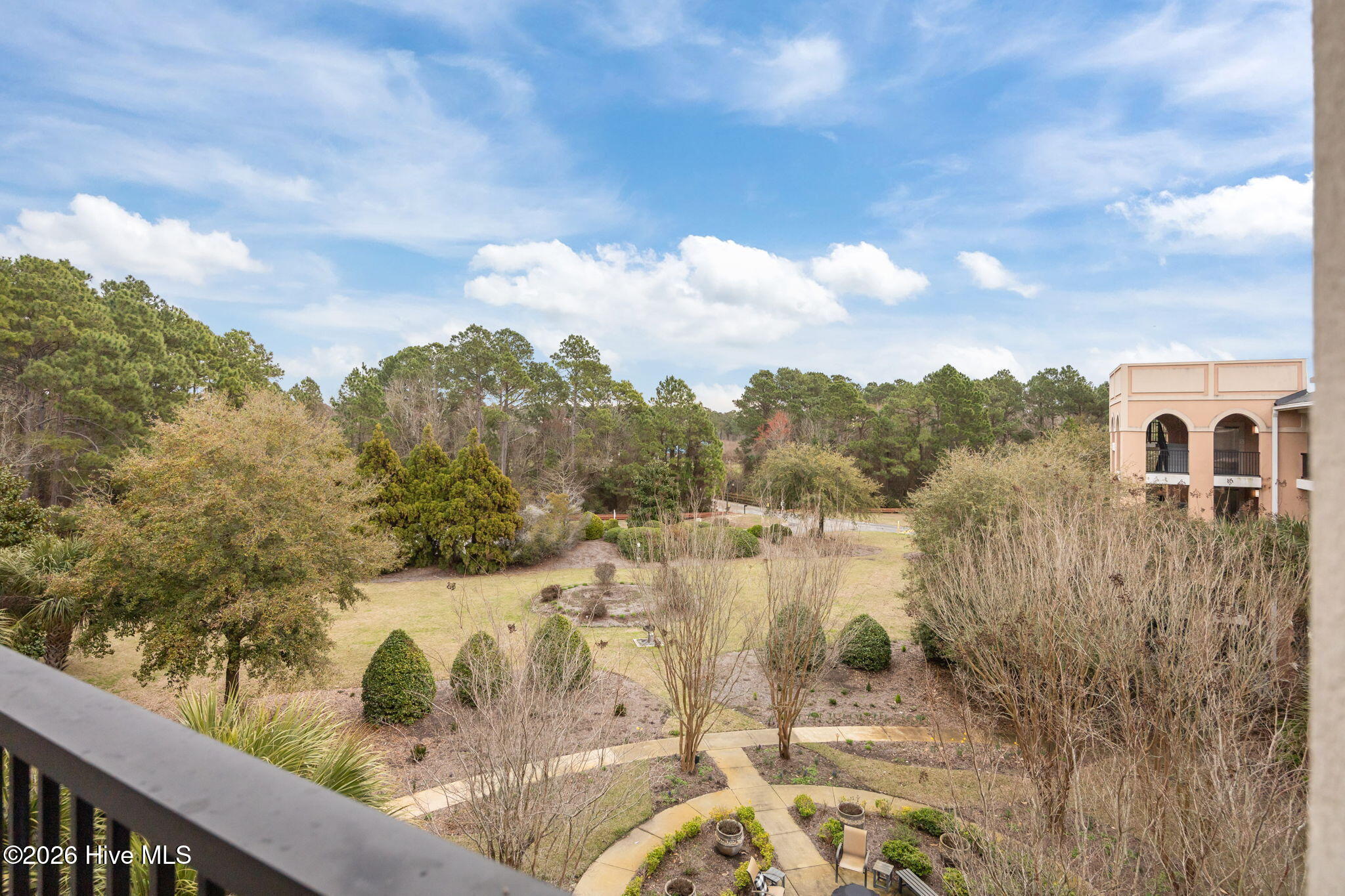 100558895 | Photo 43