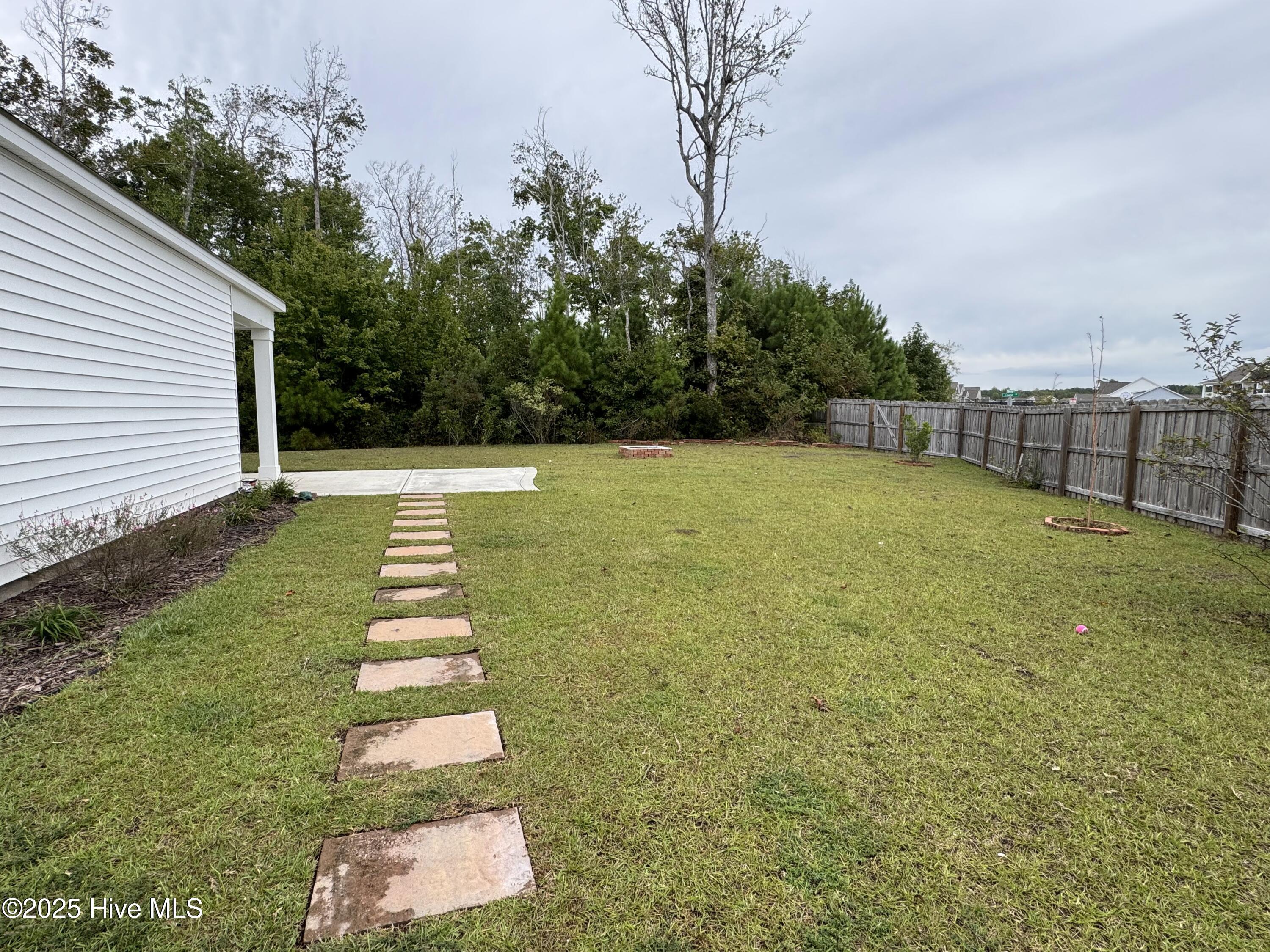 100533613 | Photo 32