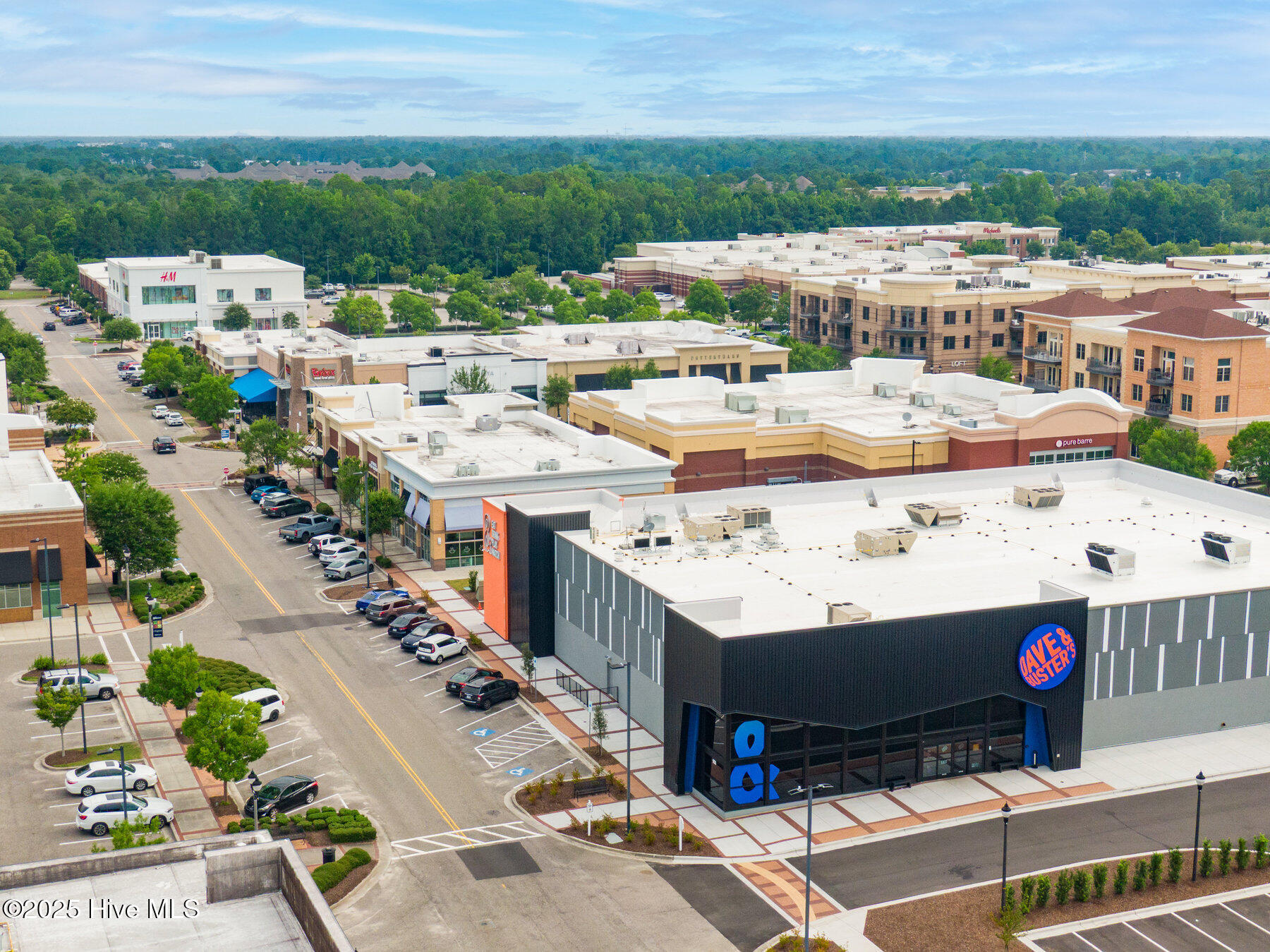 100518149 | Photo 46