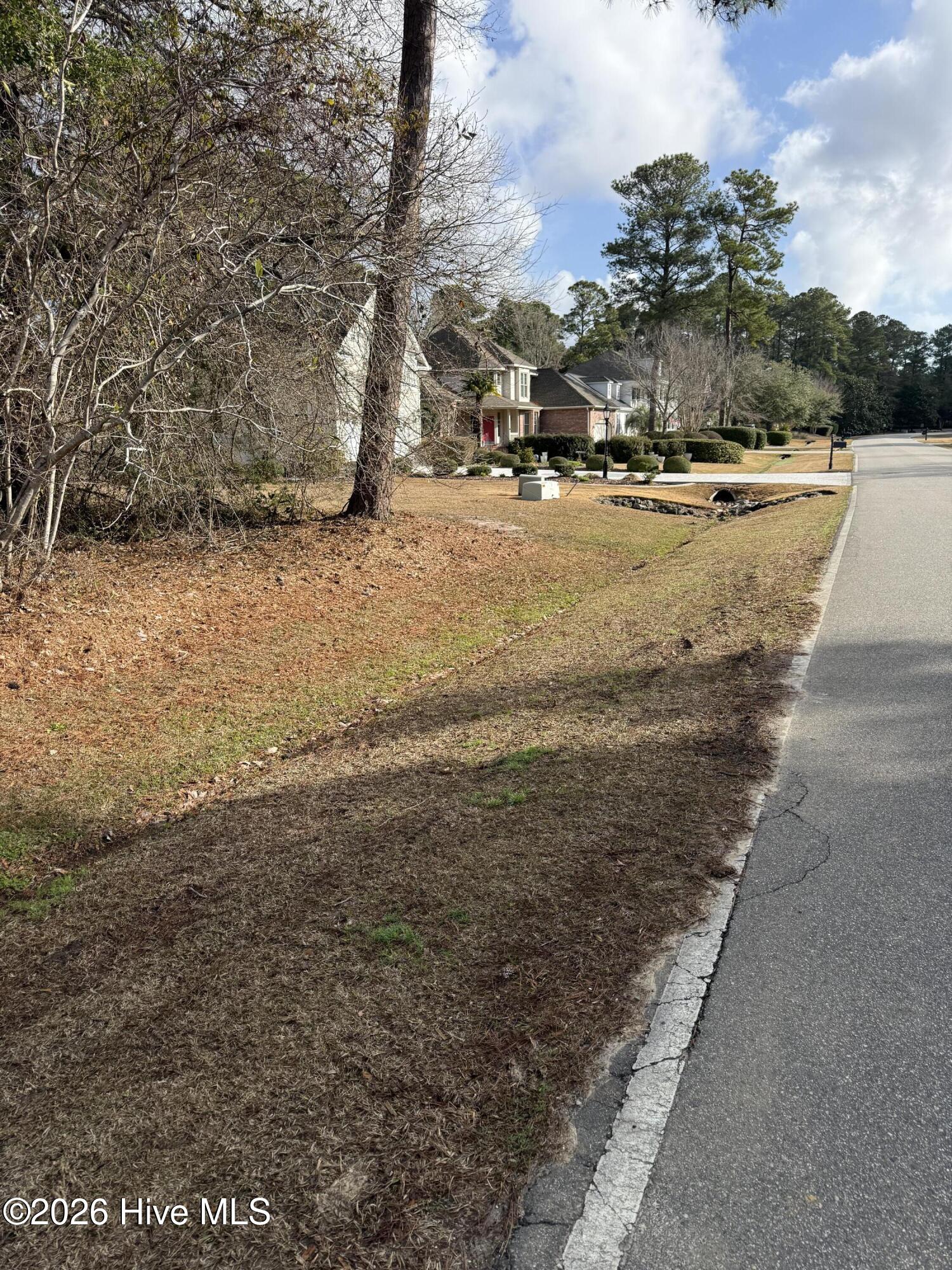 100558315 | Photo 17