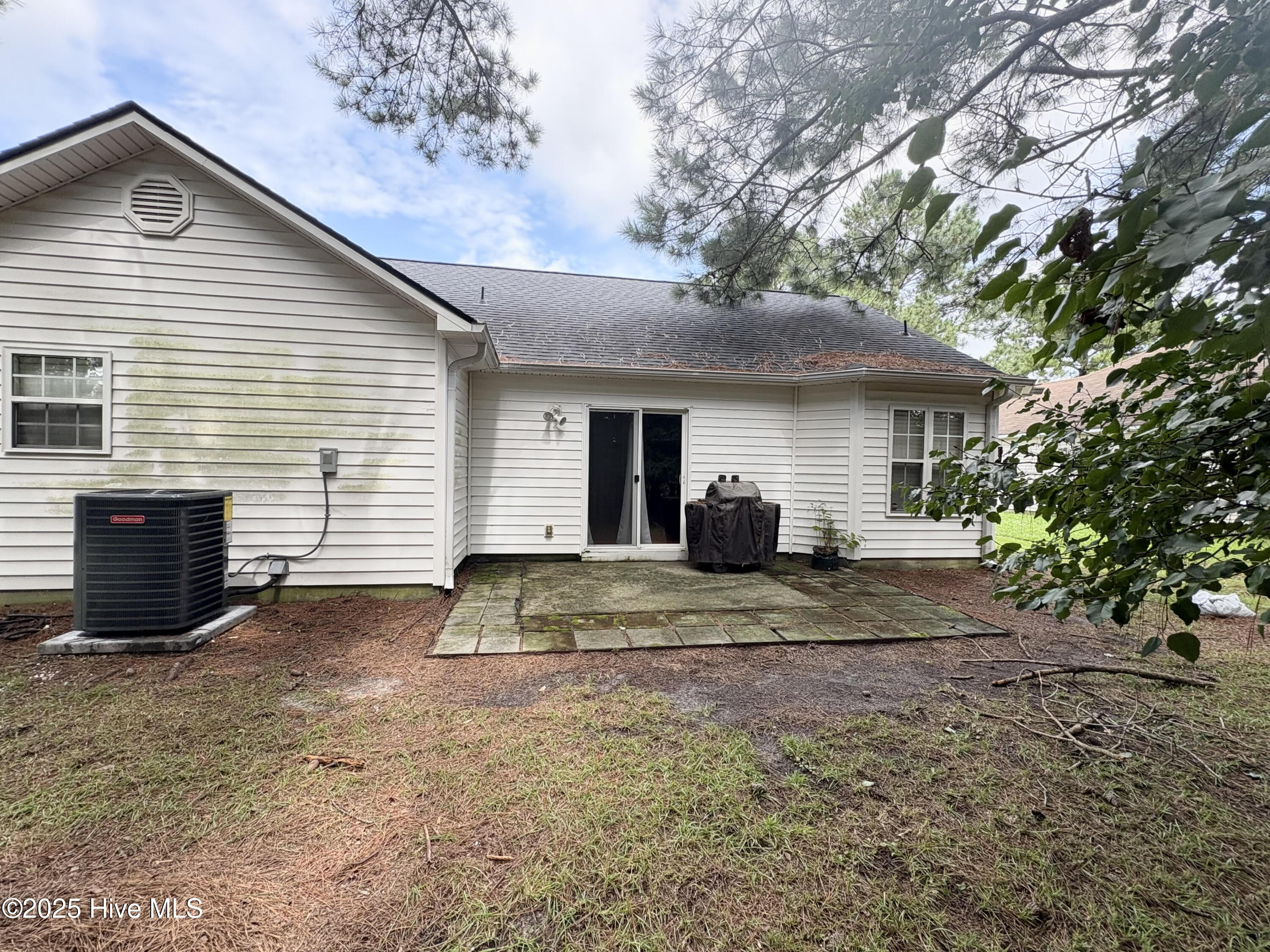 100563747 | Photo 21