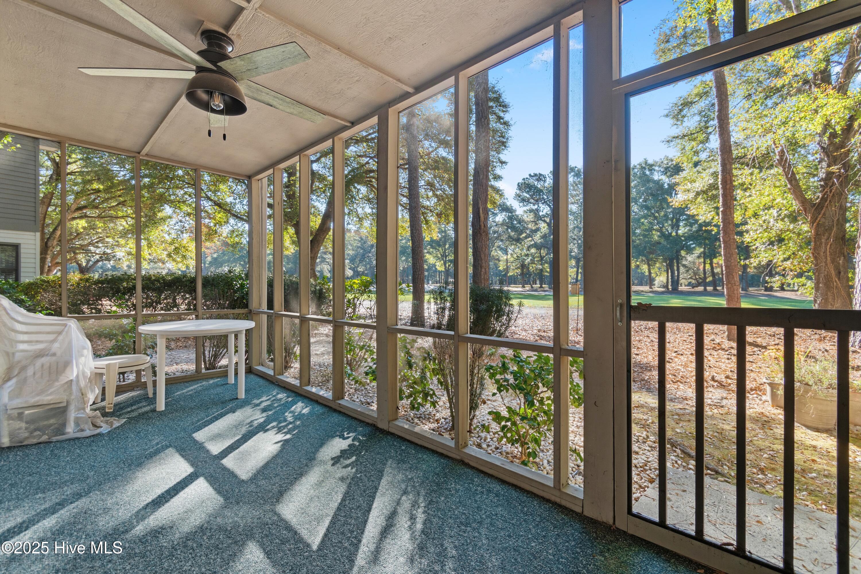 100544221 | Photo 44