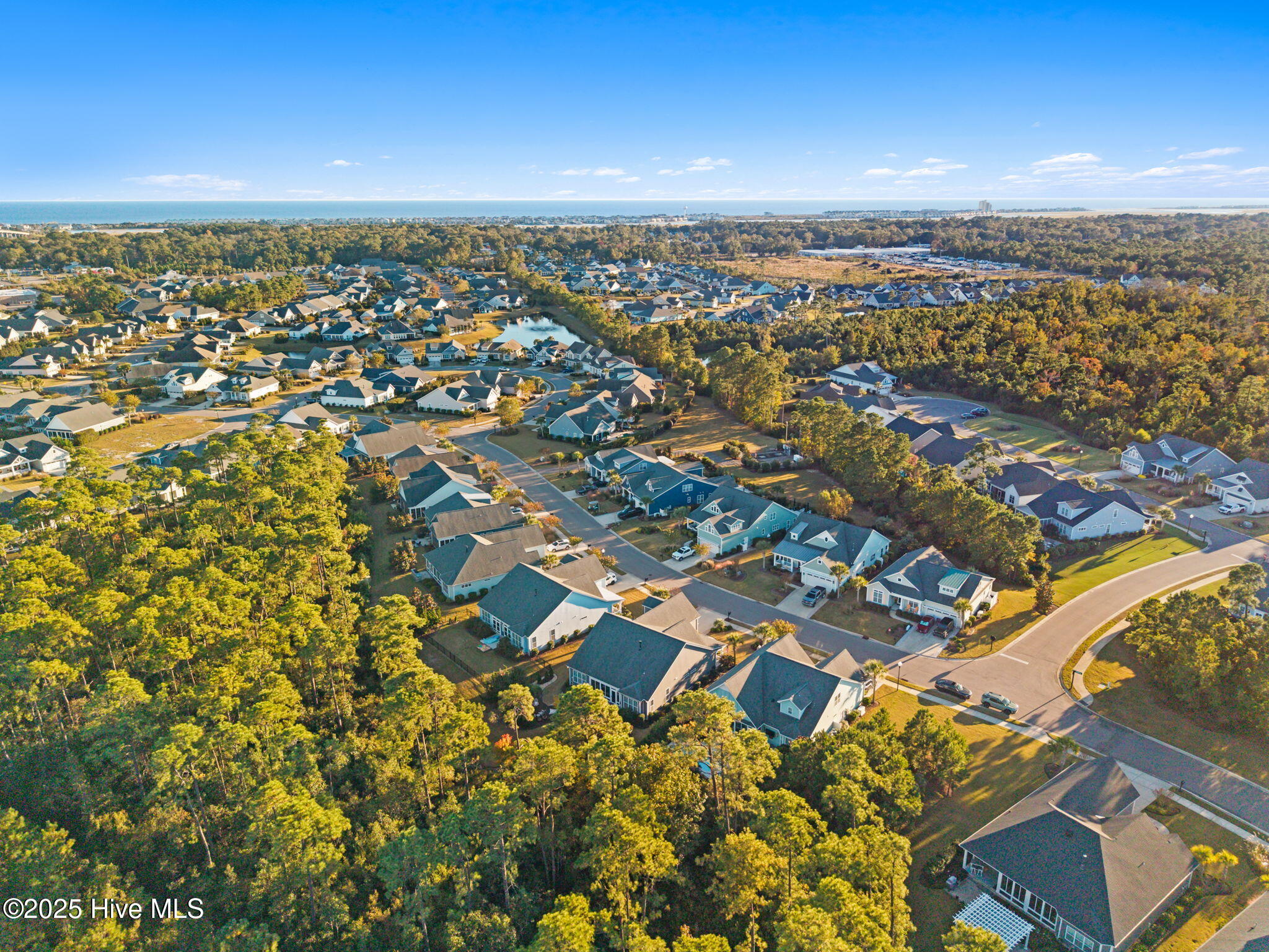 100539203 | Photo 62