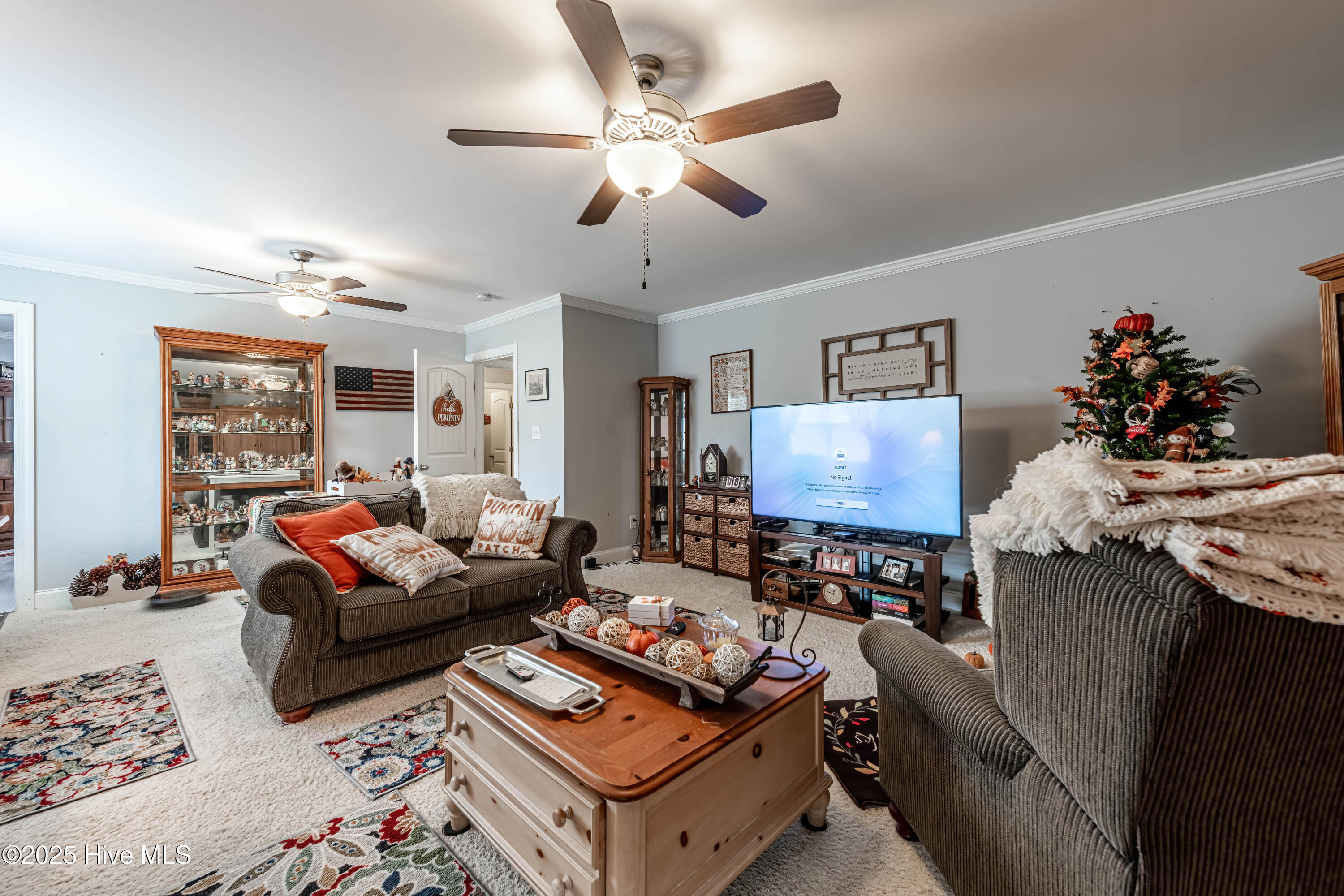 100524839 | Photo 58