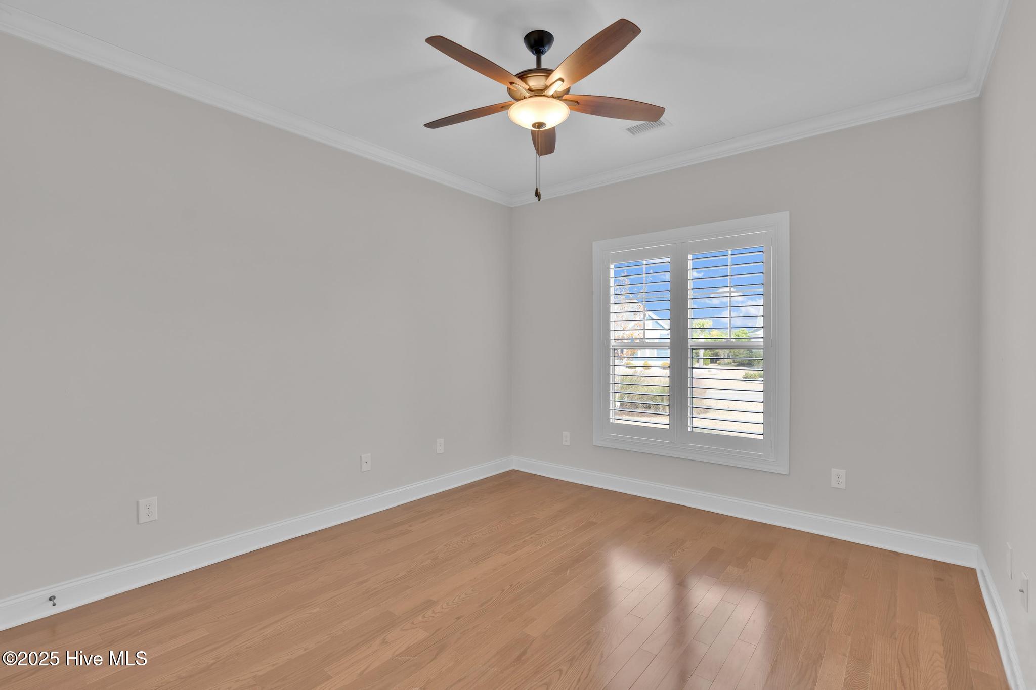 100542823 | Photo 31