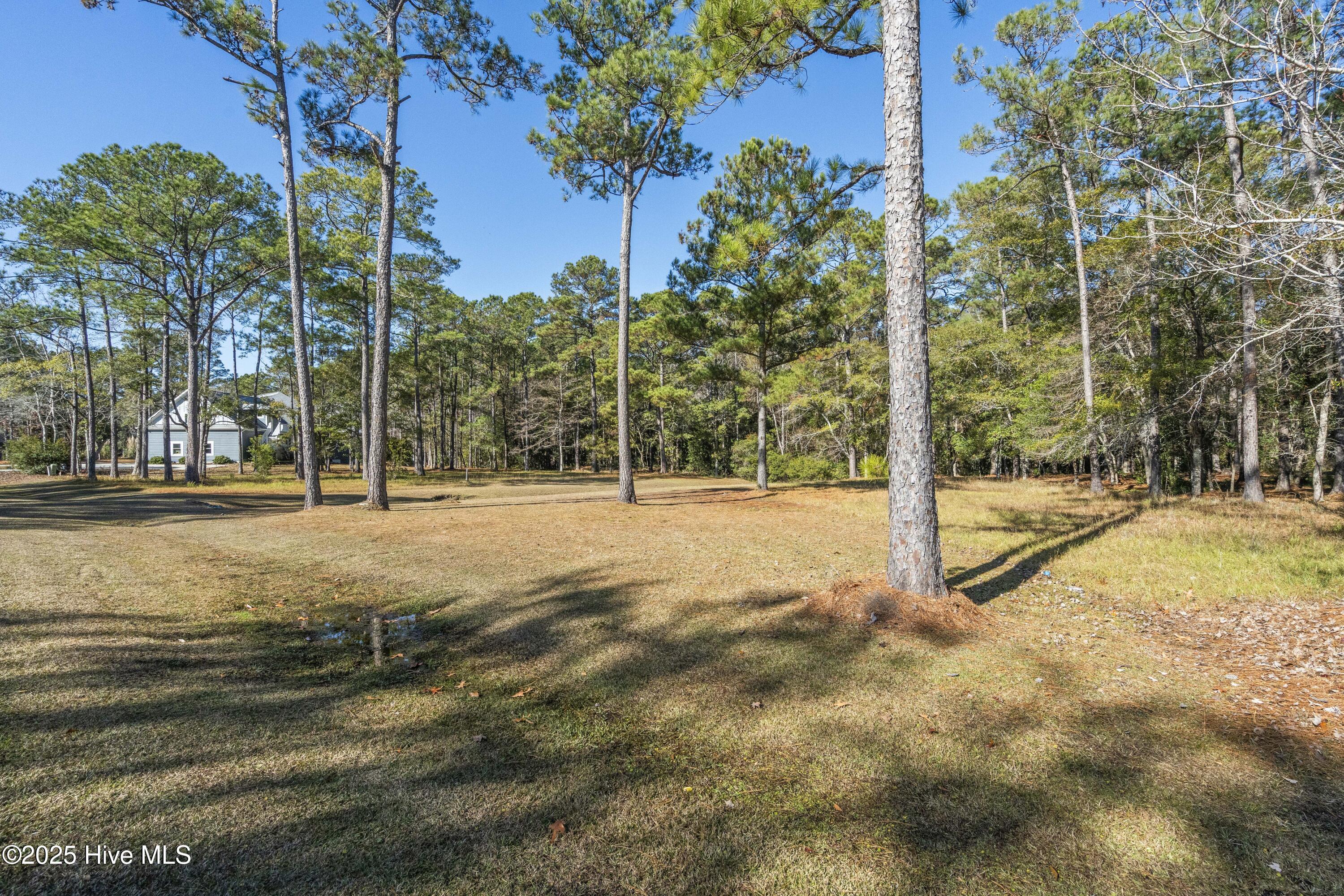 100545340 | Photo 14