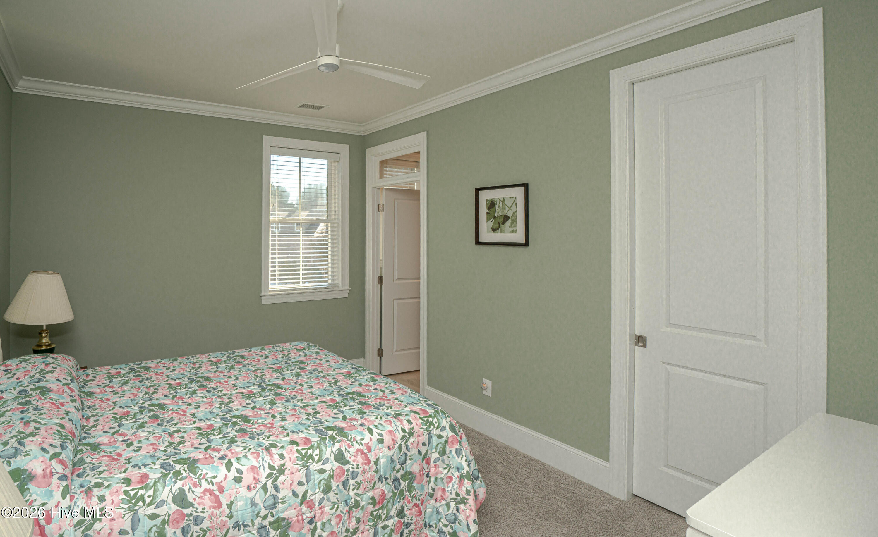 100550389 | Photo 57