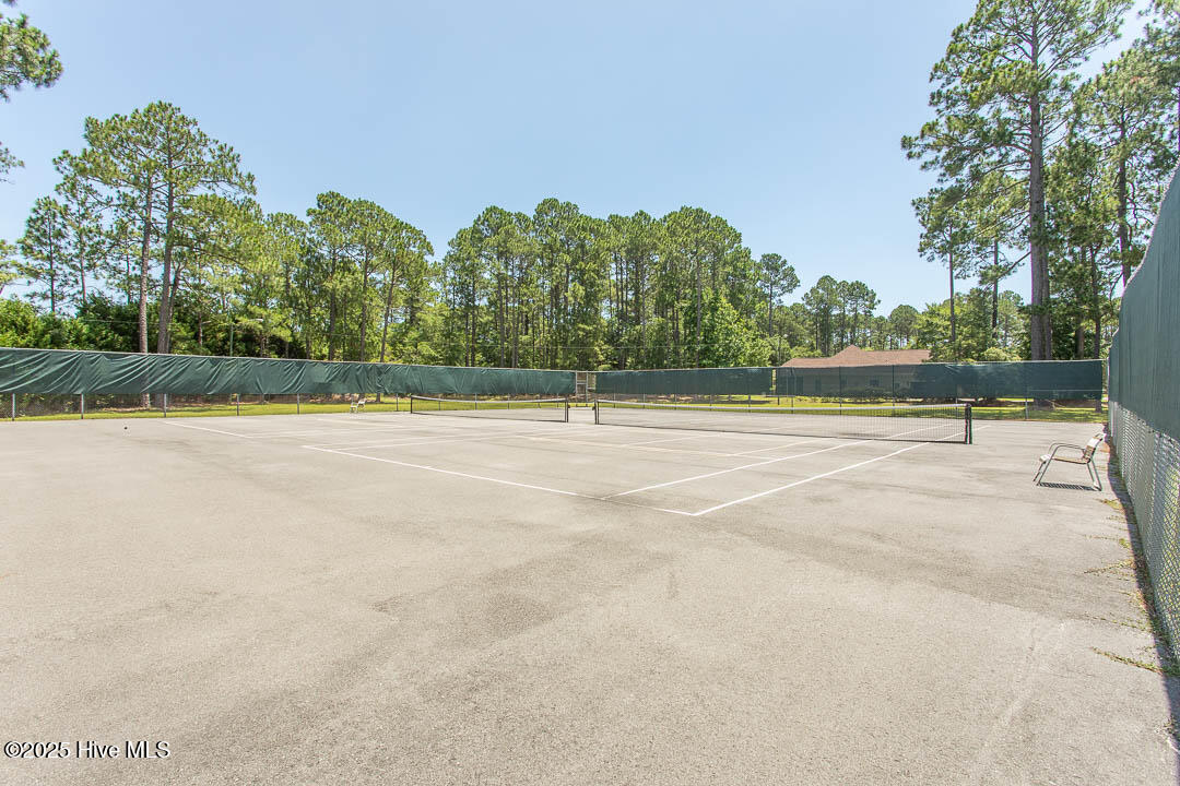 100541547 | Photo 51