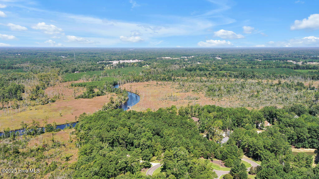 100527669 | Photo 15