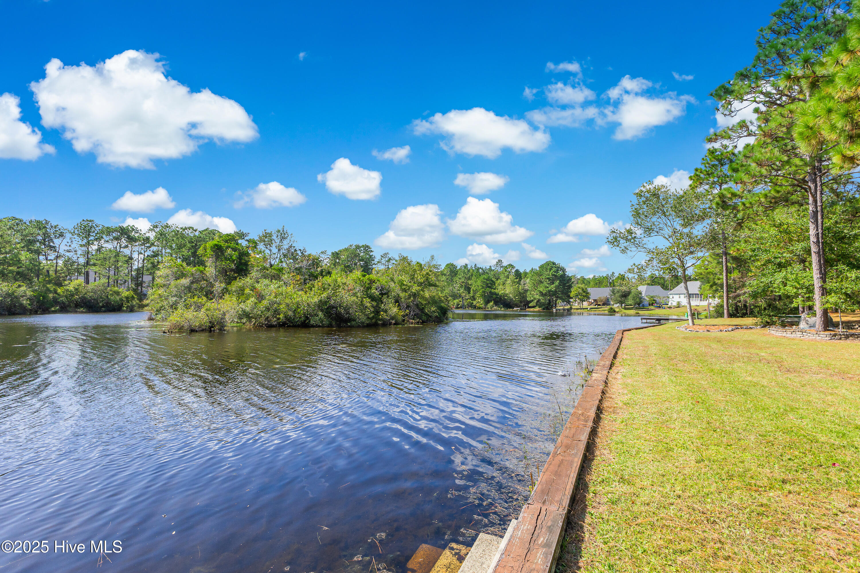 100538127 | Photo 53