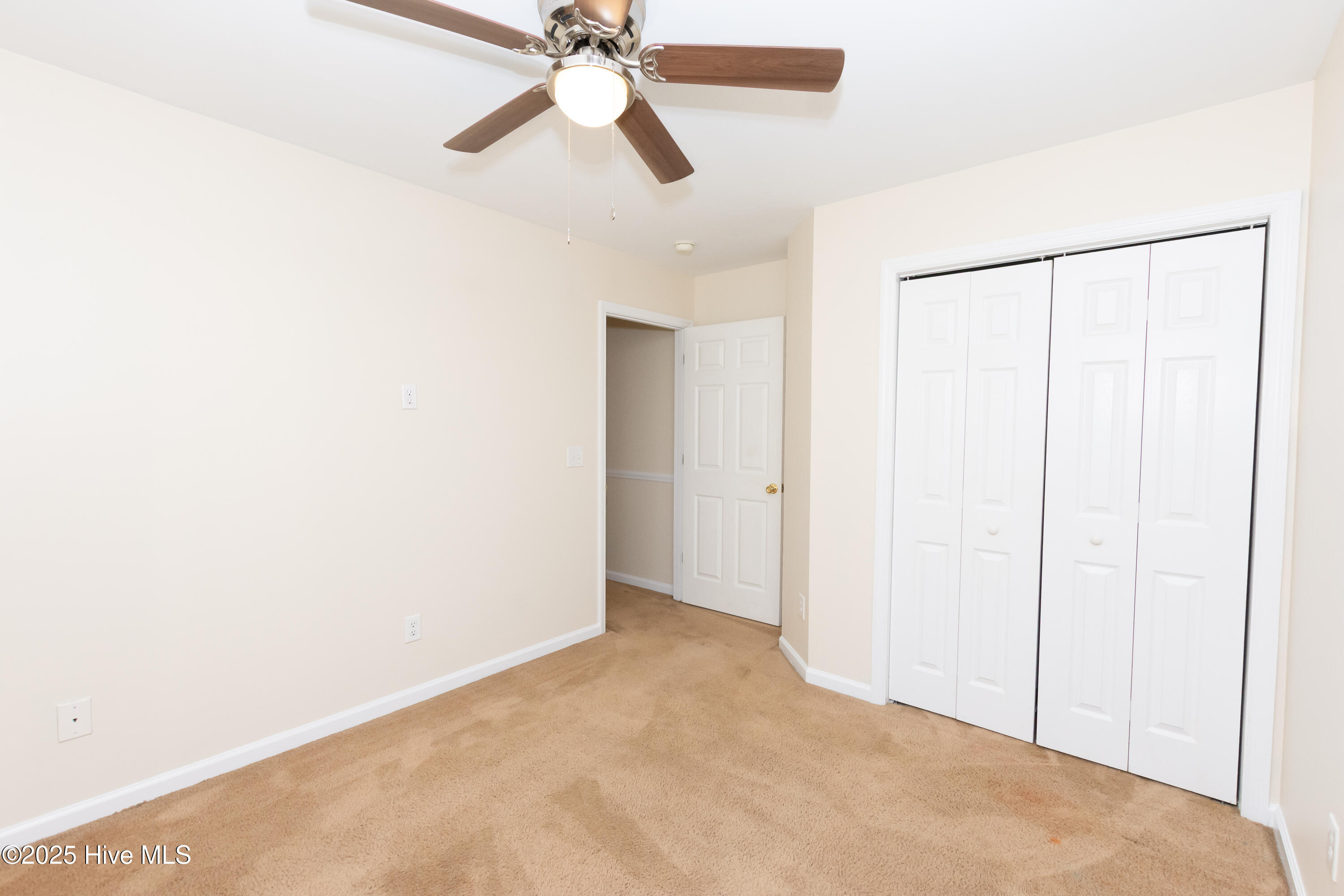 100541193 | Photo 39