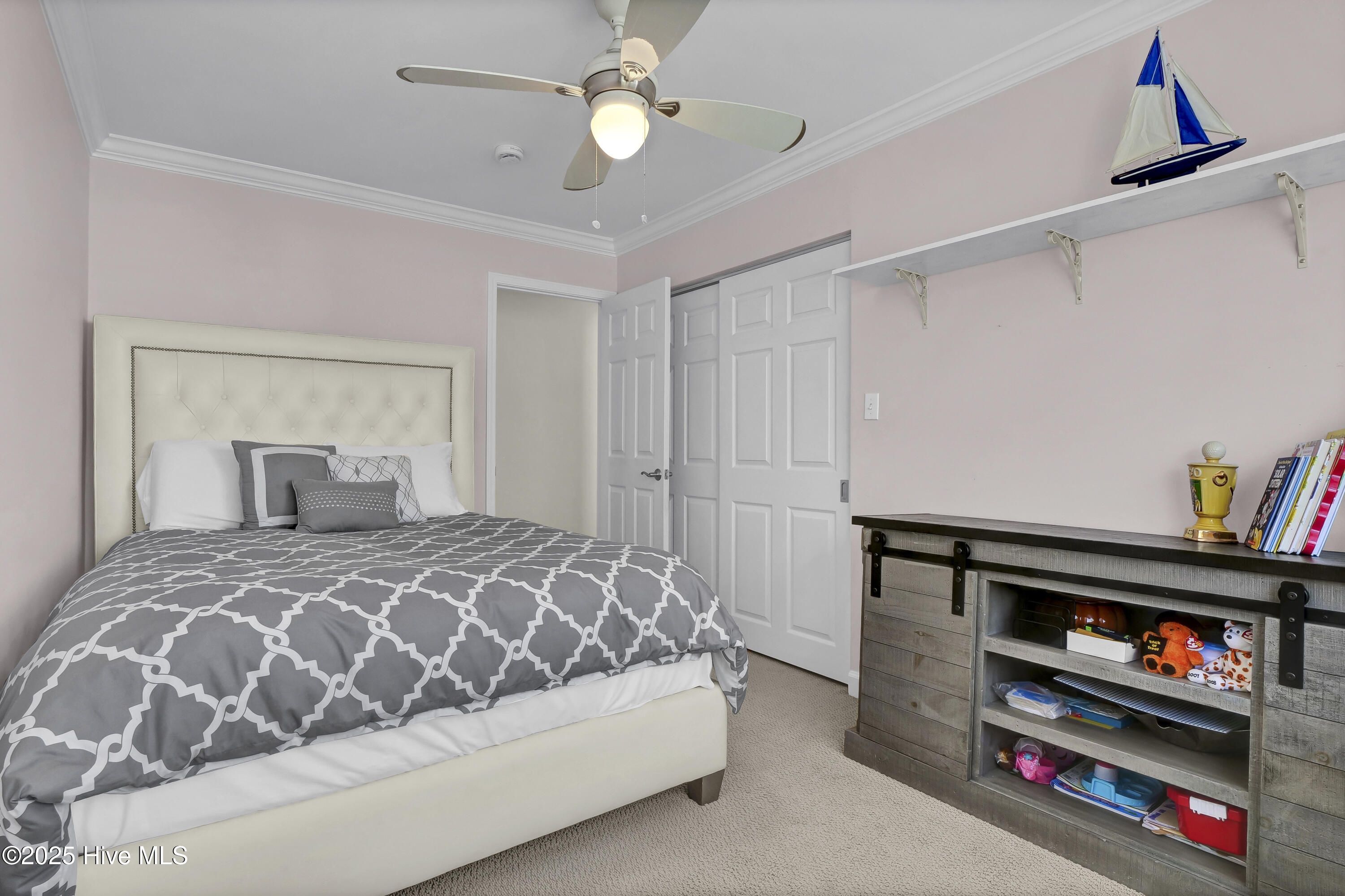 100532571 | Photo 27