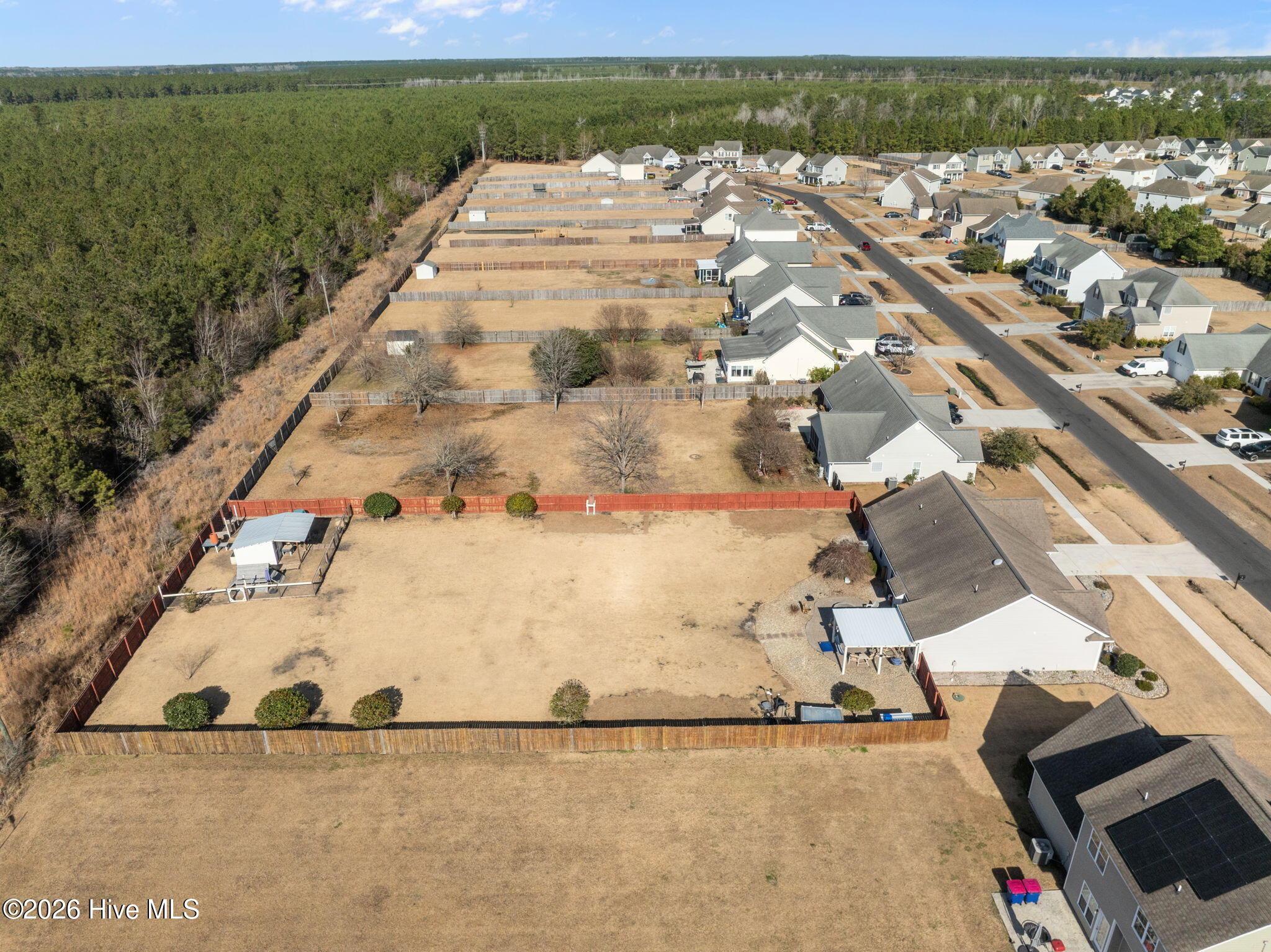 100547536 | Photo 41