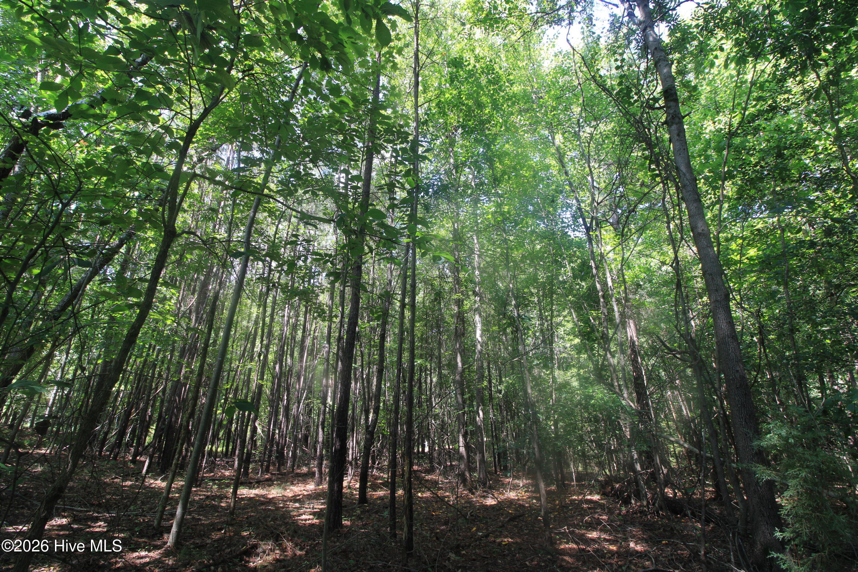 0 Crowatan, Carthage, North Carolina, 0 ,Residential Lot,For sale,Crowatan,100592058 0 Crowatan, Carthage, North Carolina, 0 ,Residential Lot,For sale,Crowatan,100592058