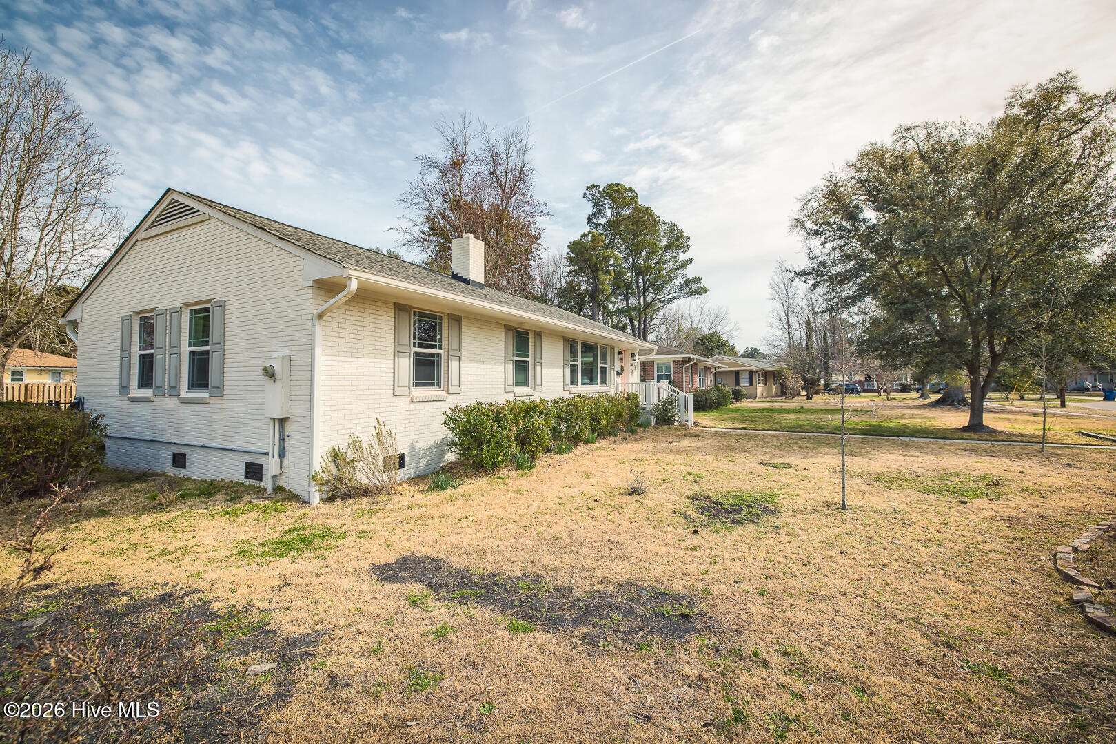 100556956 | Photo 83