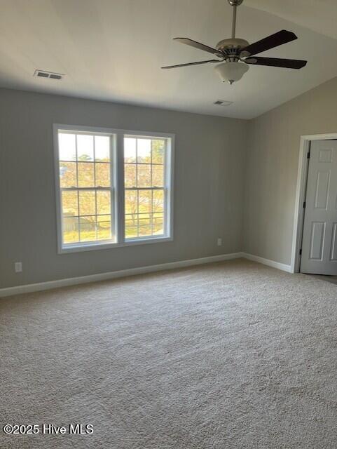 100537442 | Photo 15