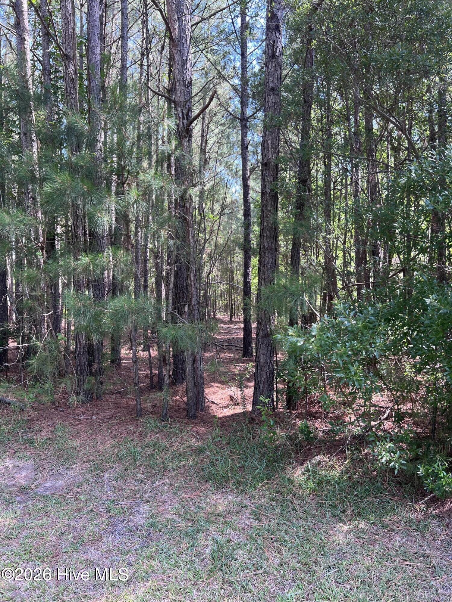 5th image of 42 Windy Pt, Belhaven, NC 27810 | MLS# 100589662