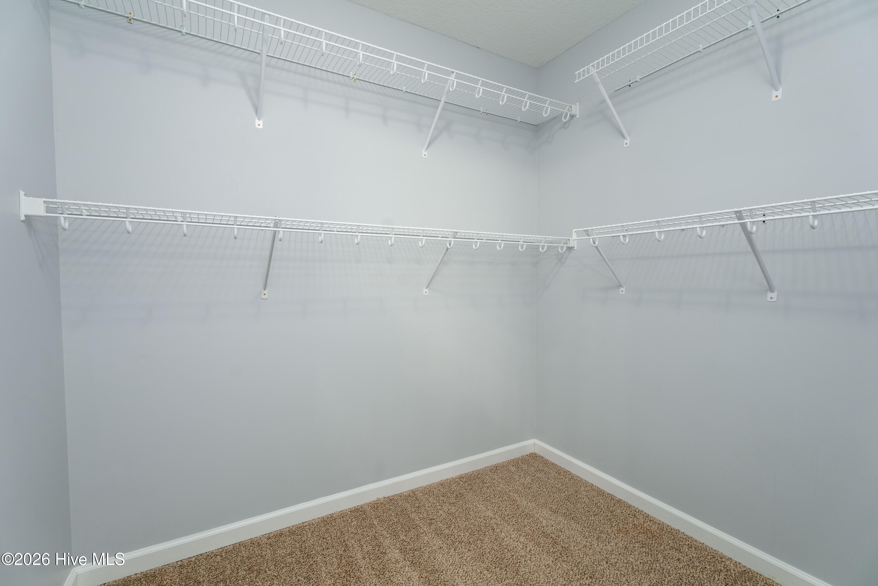 375 Nine Mile Road, Maple Hill, NC 28454 – photo 18: 375 Nine Mile Road-23