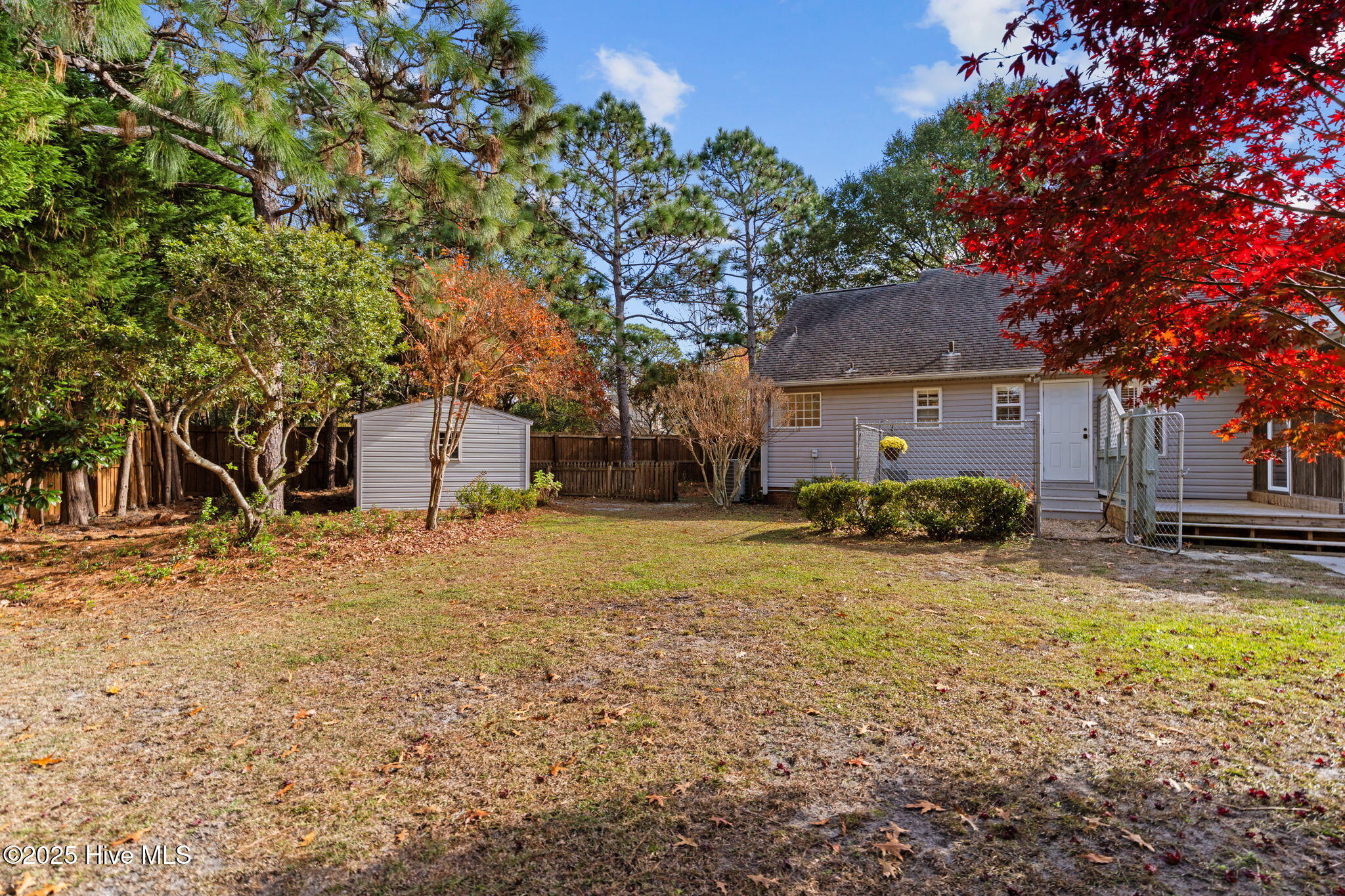 100543111 | Photo 43