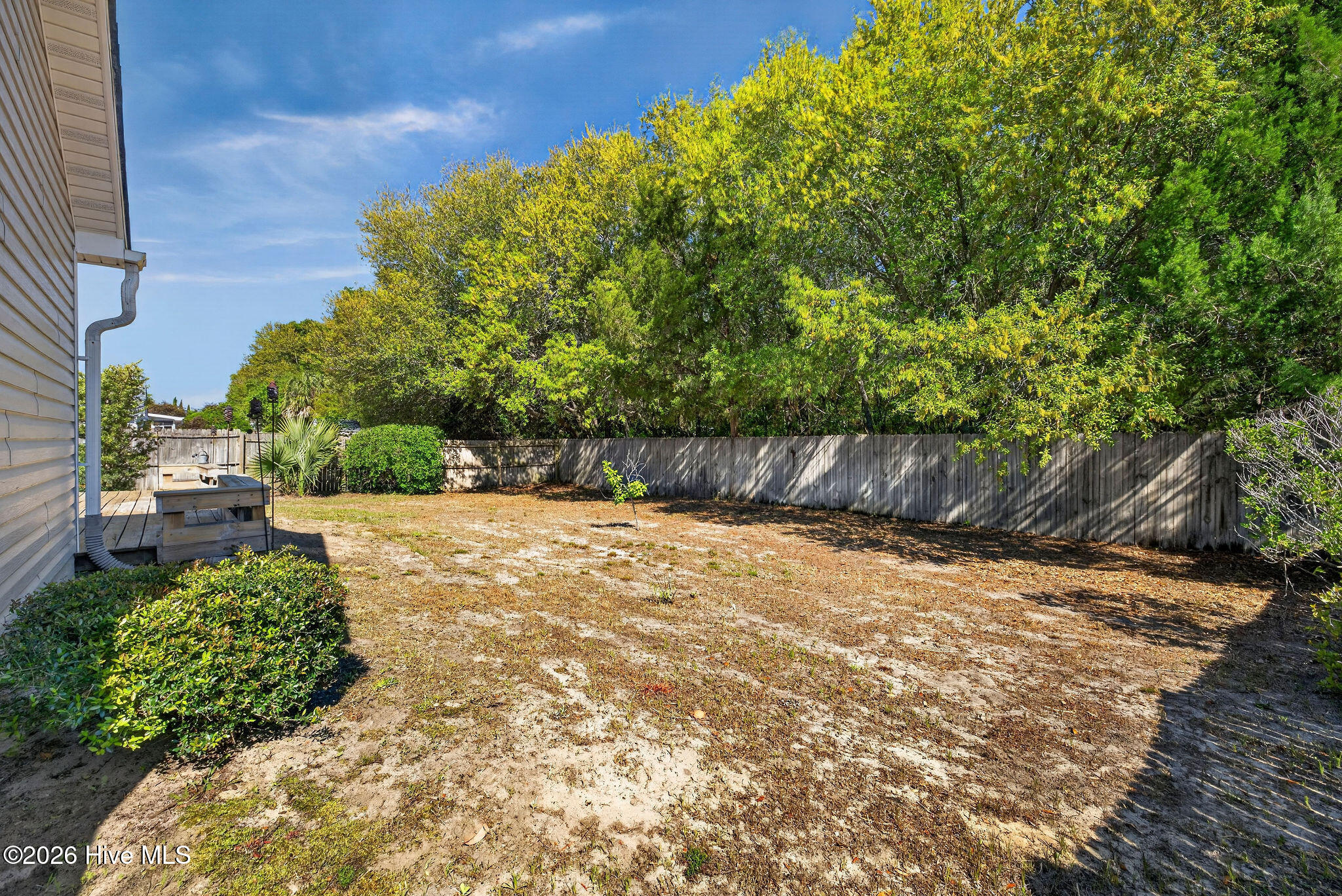 100567881 | Photo 39