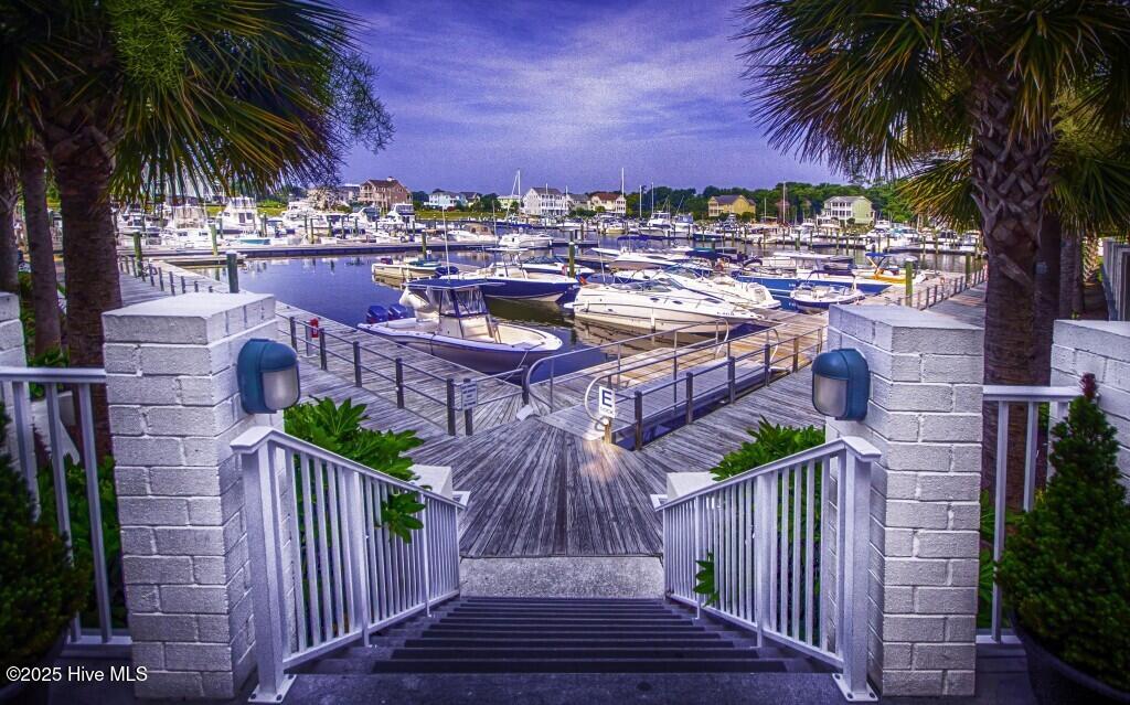 100535618 | Photo 25