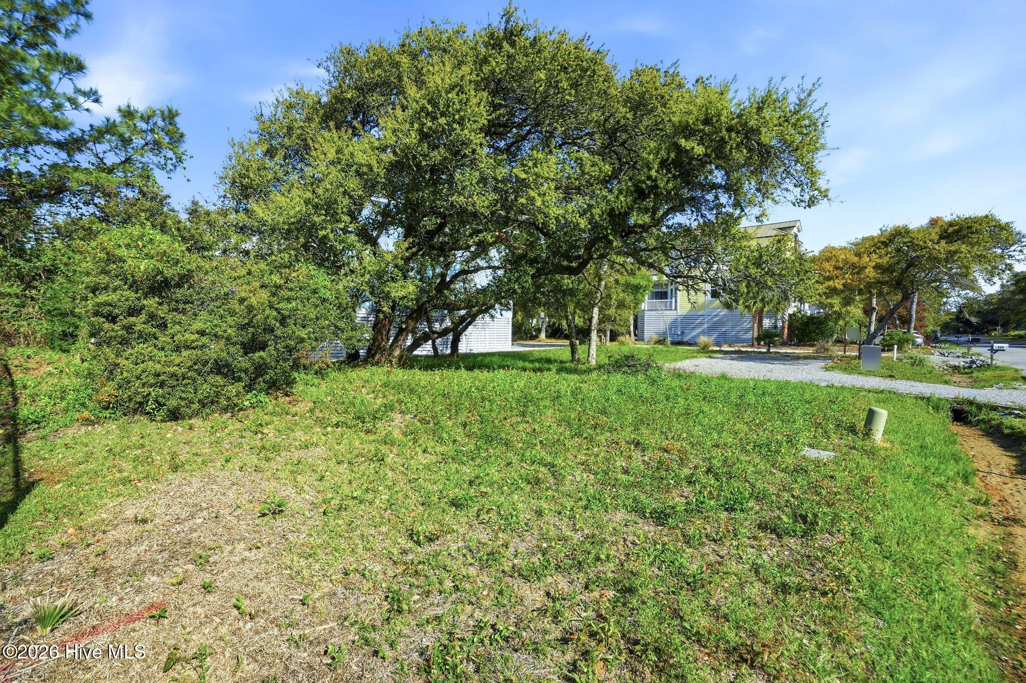 100565841 | Photo 12