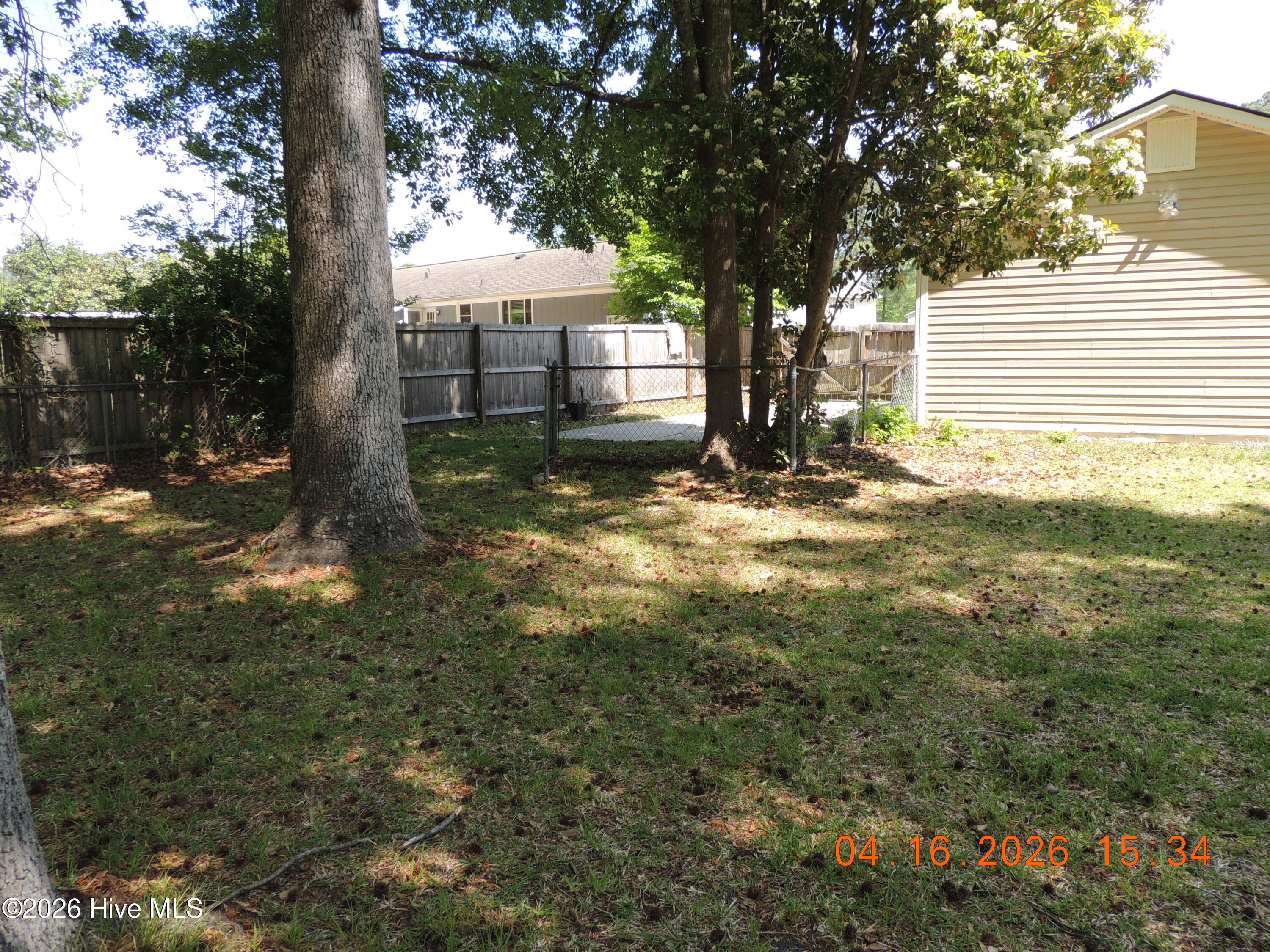 100565654 | Photo 24