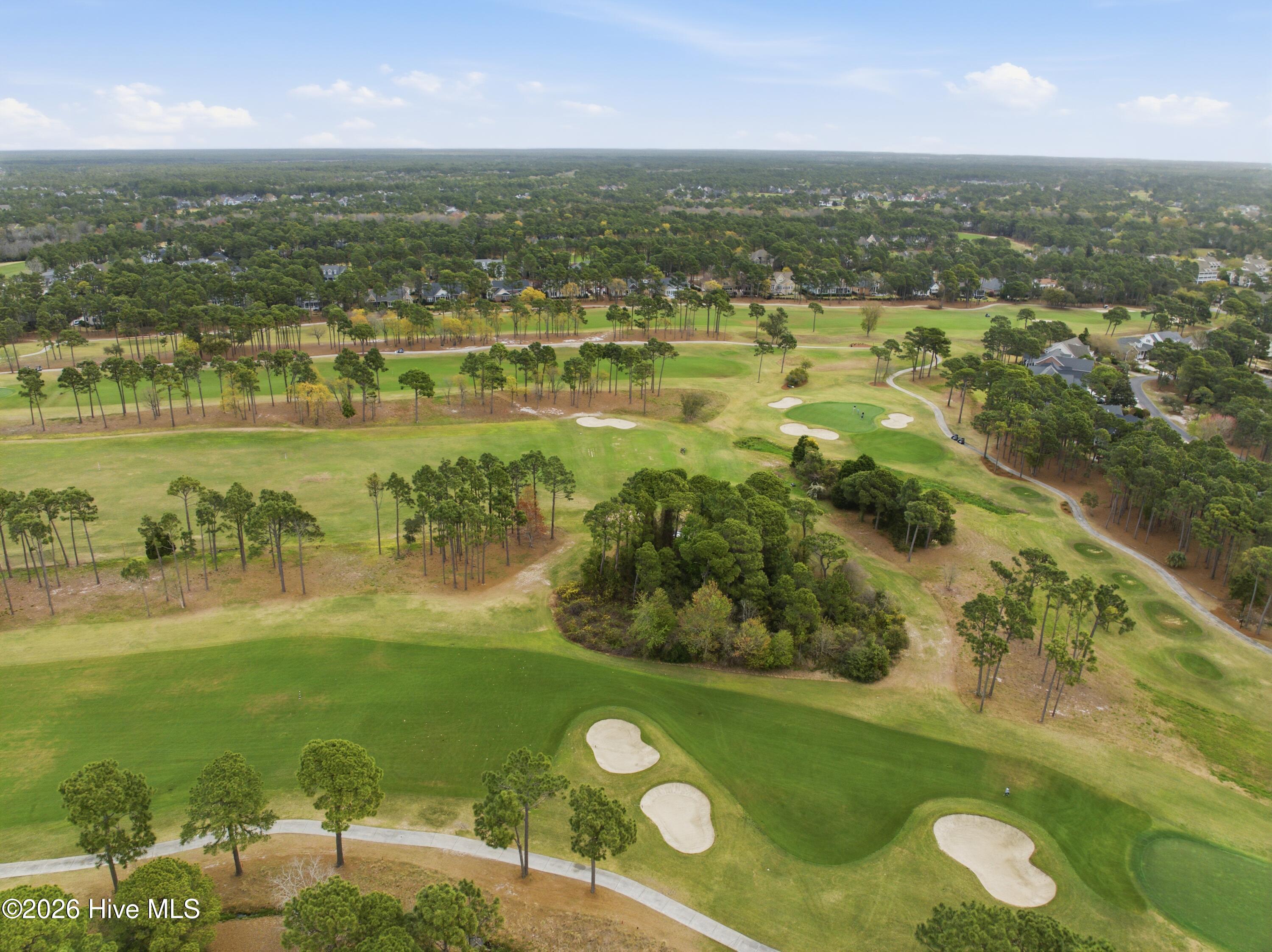 100564679 | Photo 81