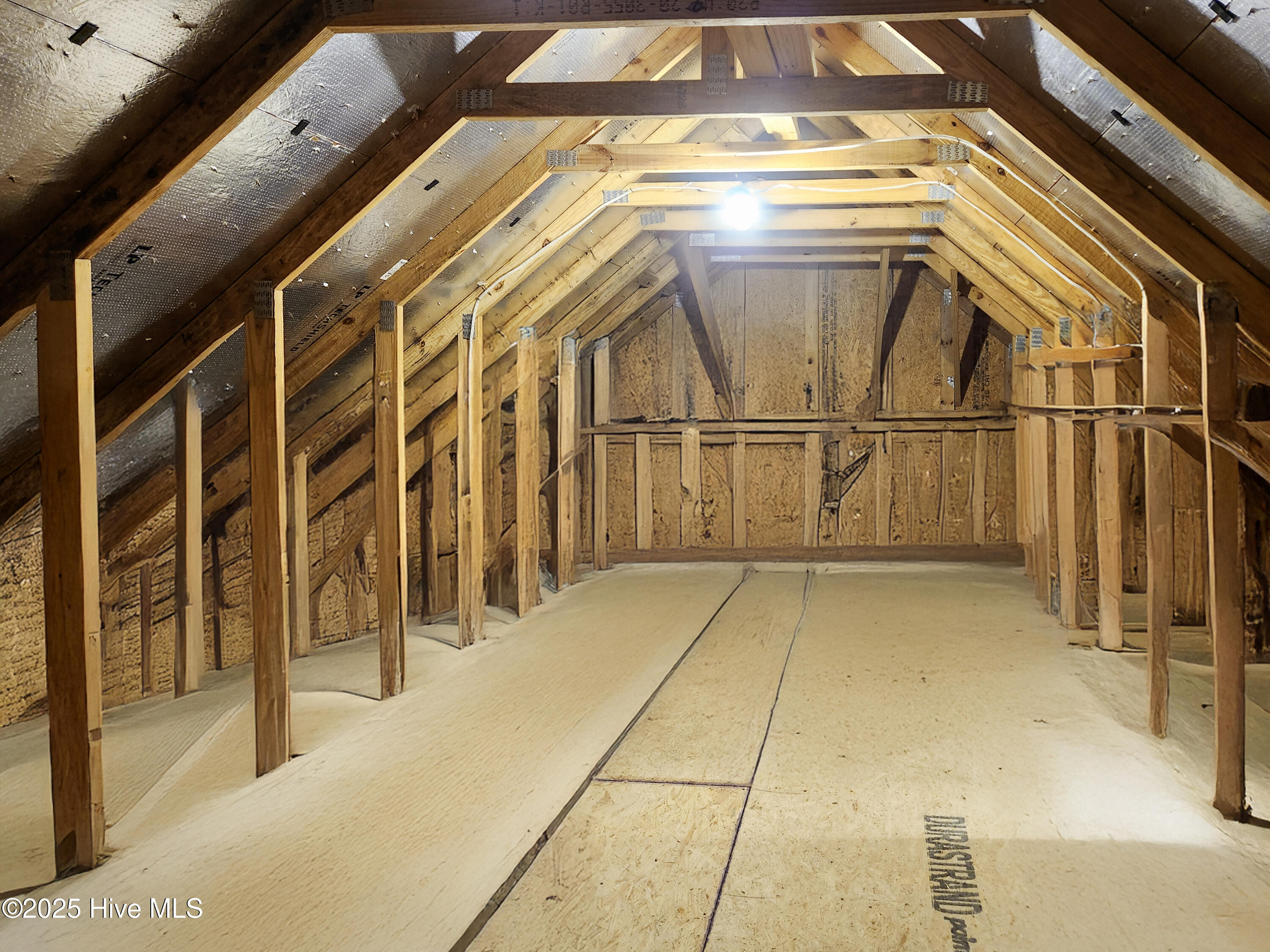 100502305 | Photo 35