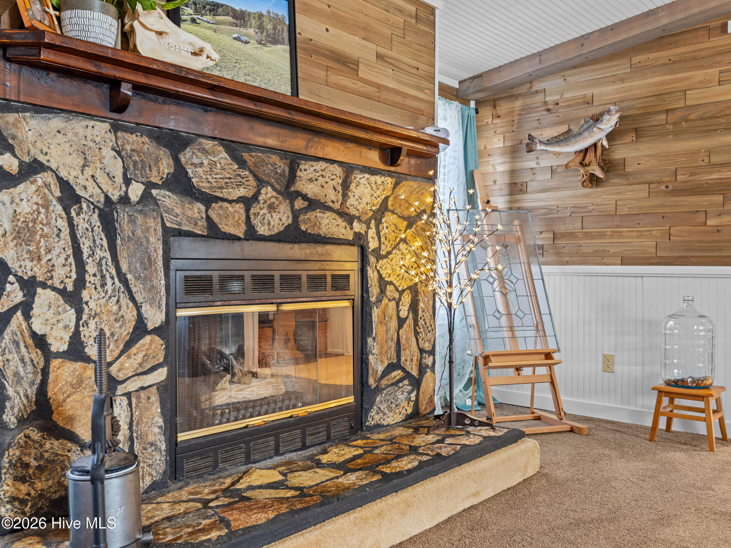 100556387 | Photo 12