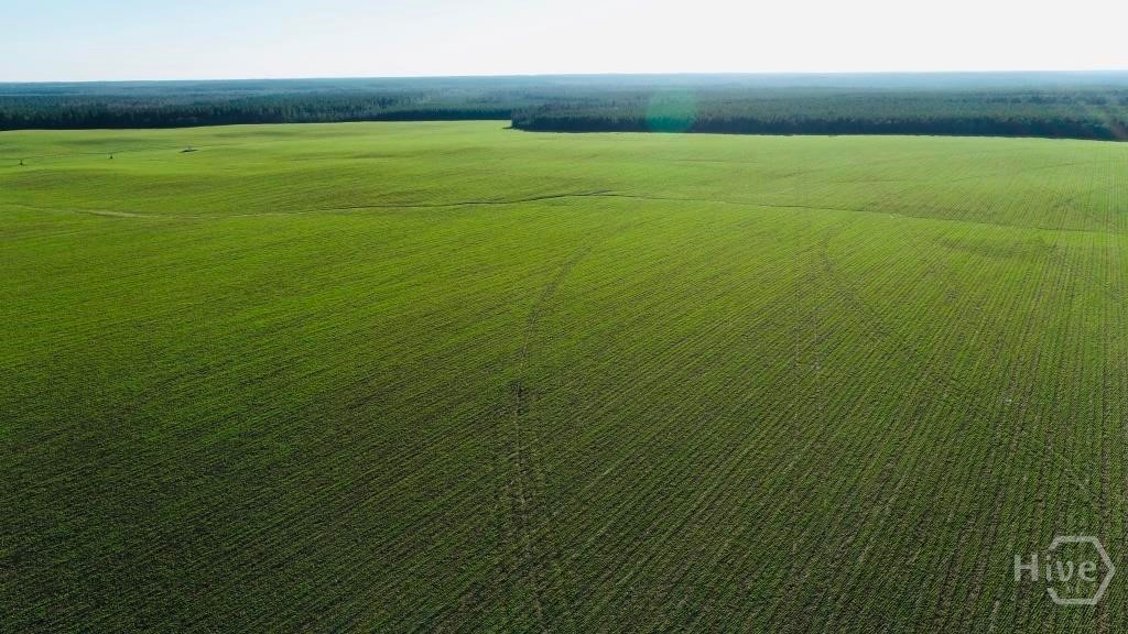 Undisclosed Address, Keysville, GA, 30805