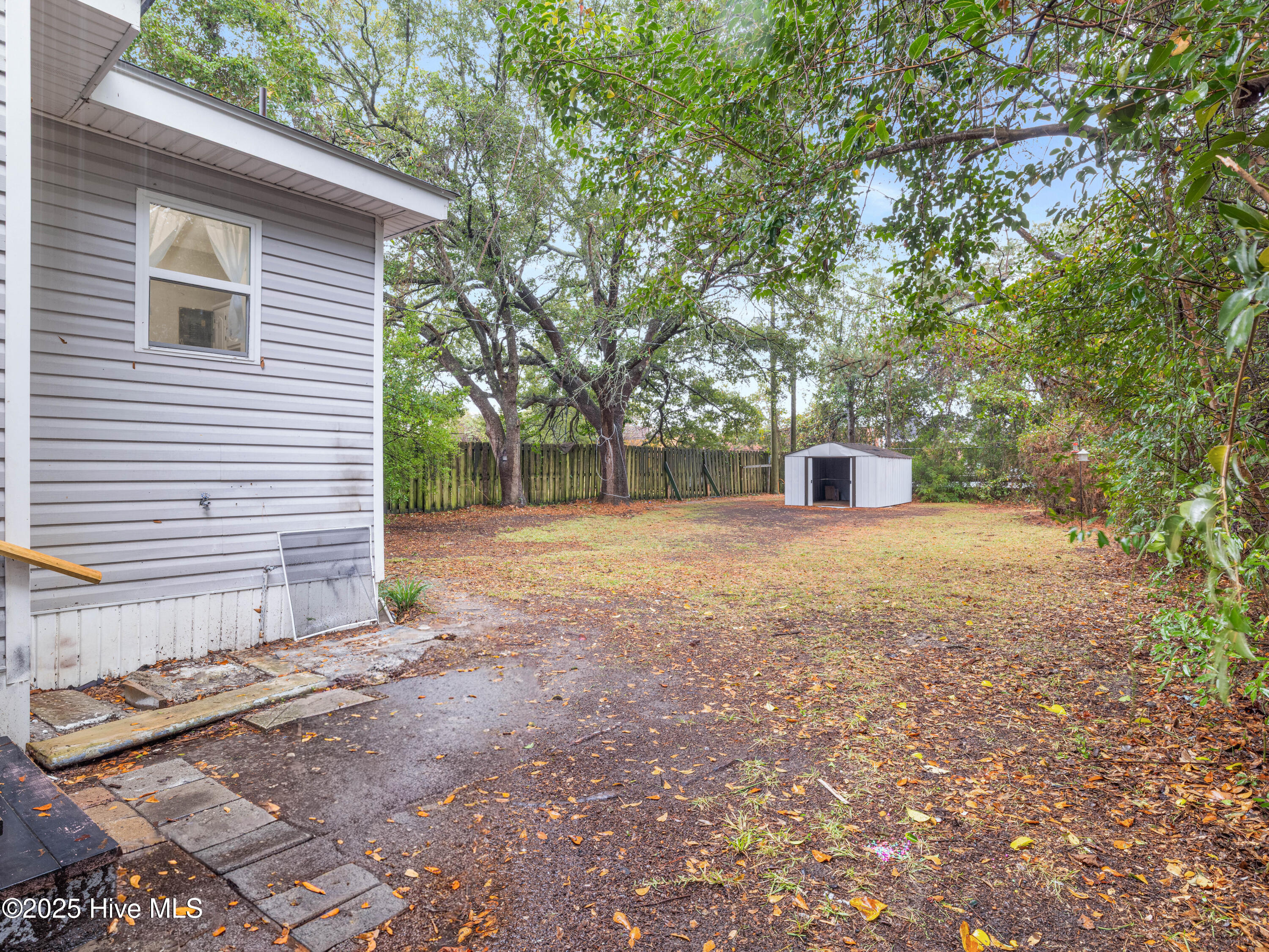 100544589 | Photo 10