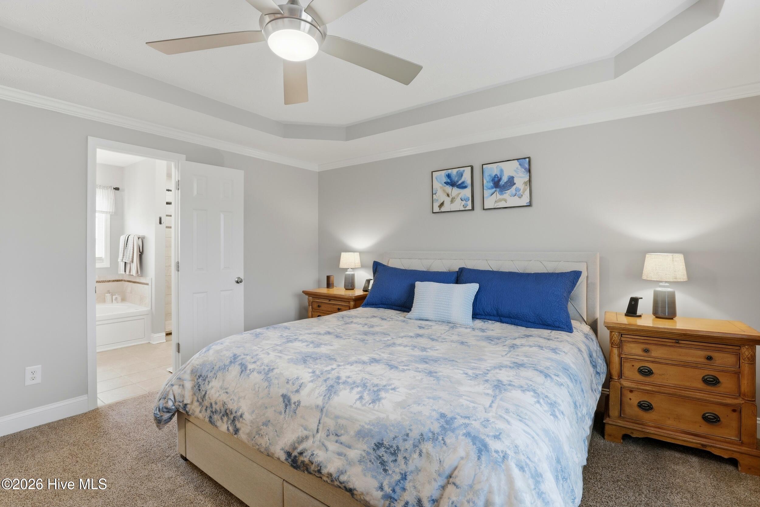 100558119 | Photo 21