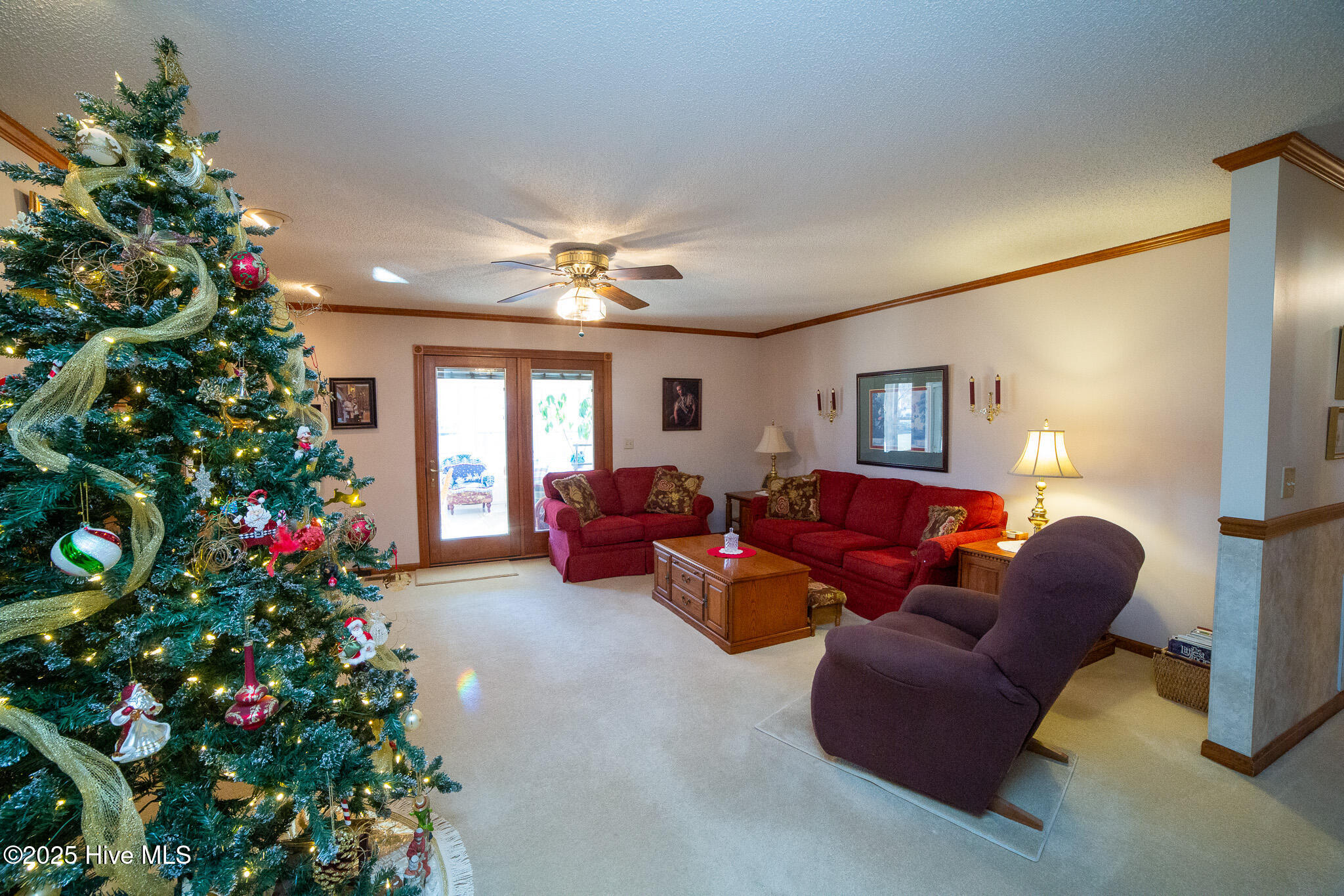 100545469 | Photo 17