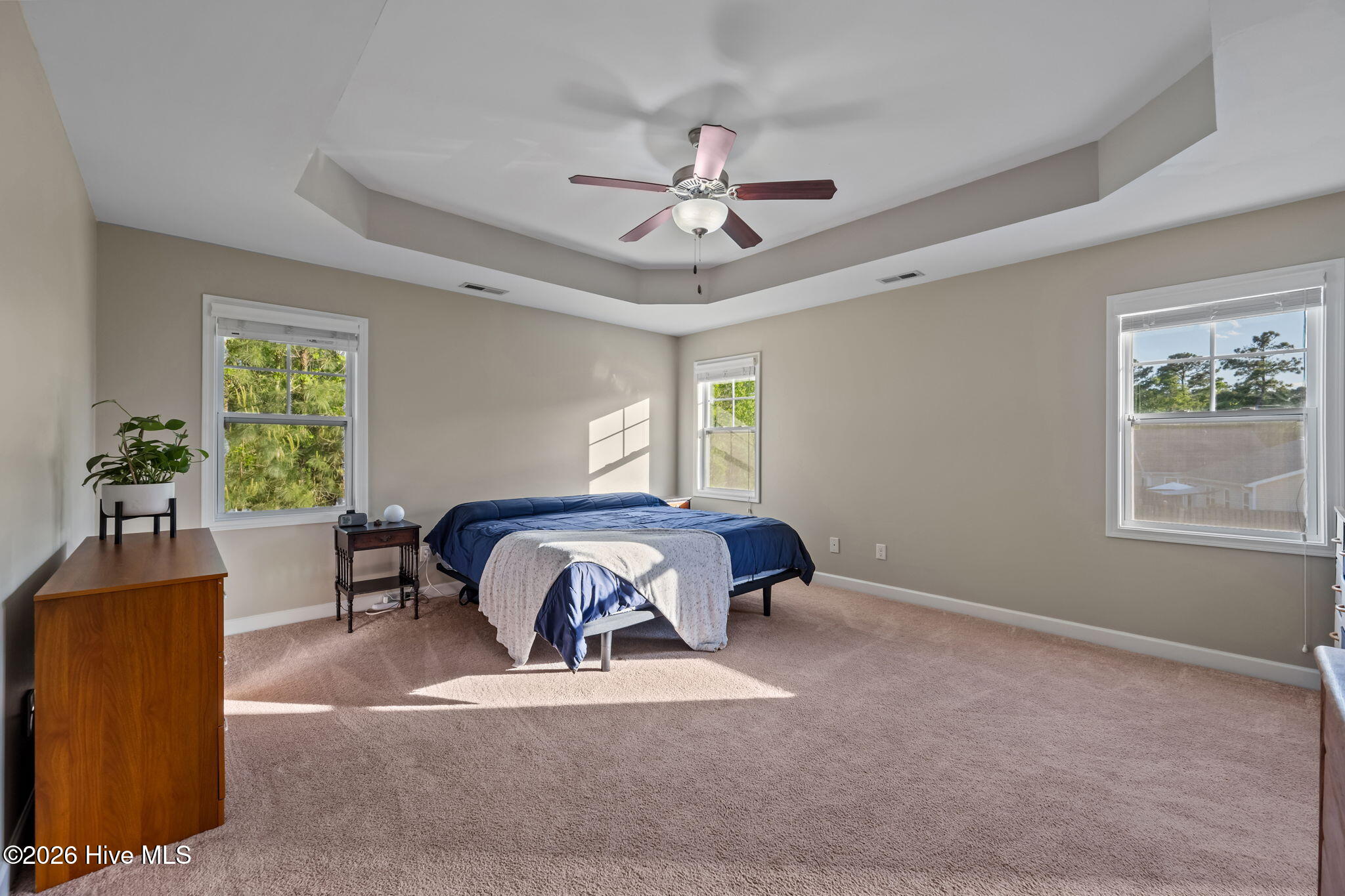 100568567 | Photo 19