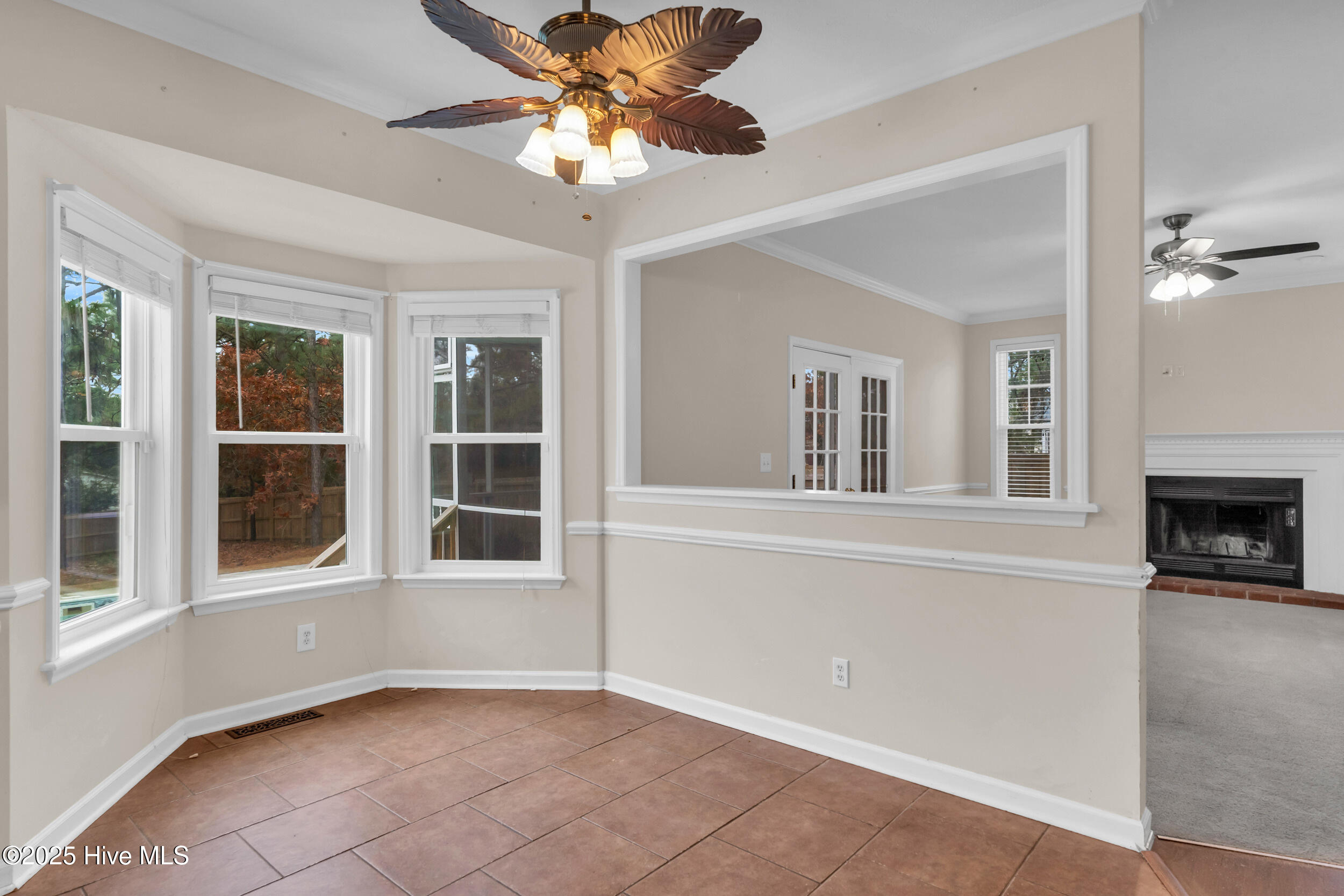 100545048 | Photo 16