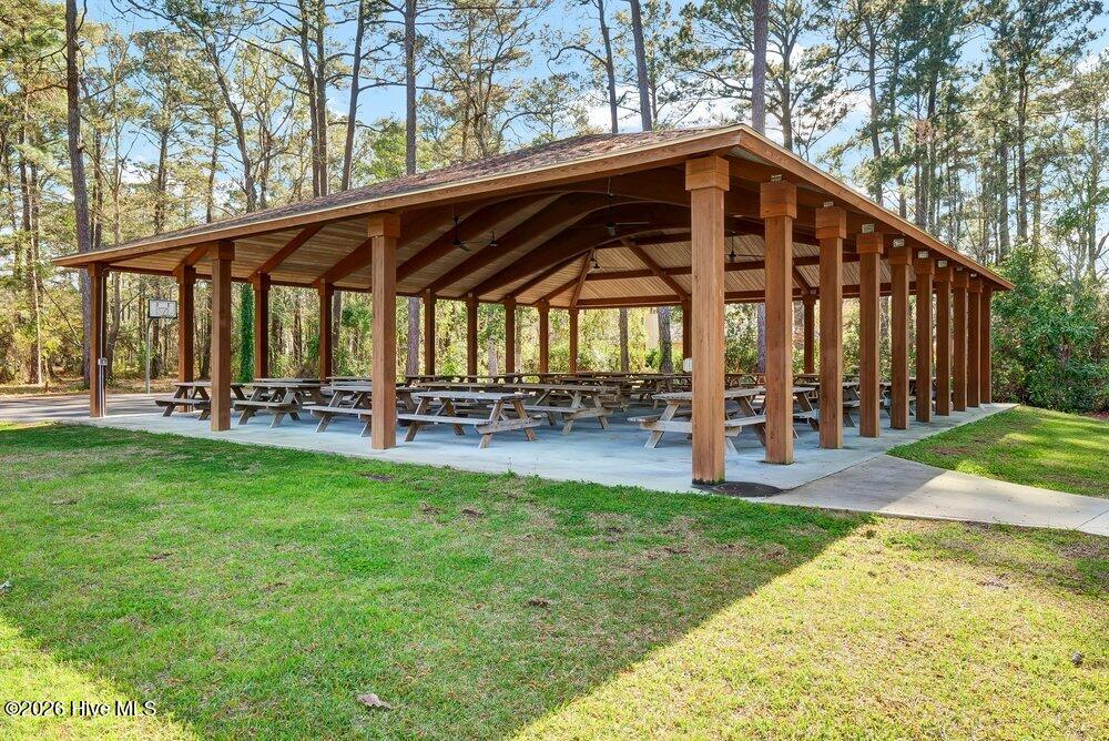 100559132 | Photo 33