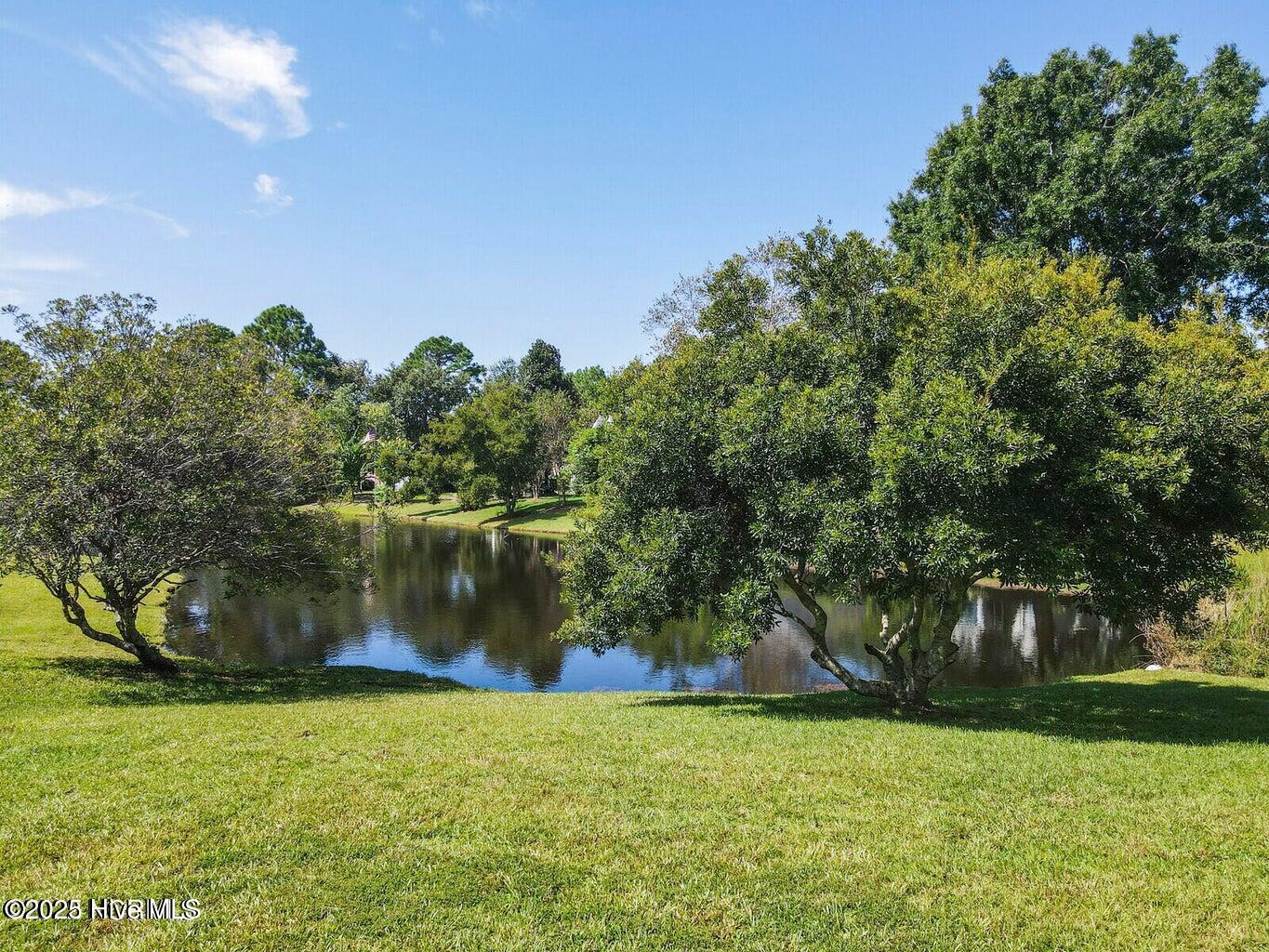 100561885 | Photo 70