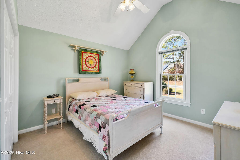 100541437 | Photo 27