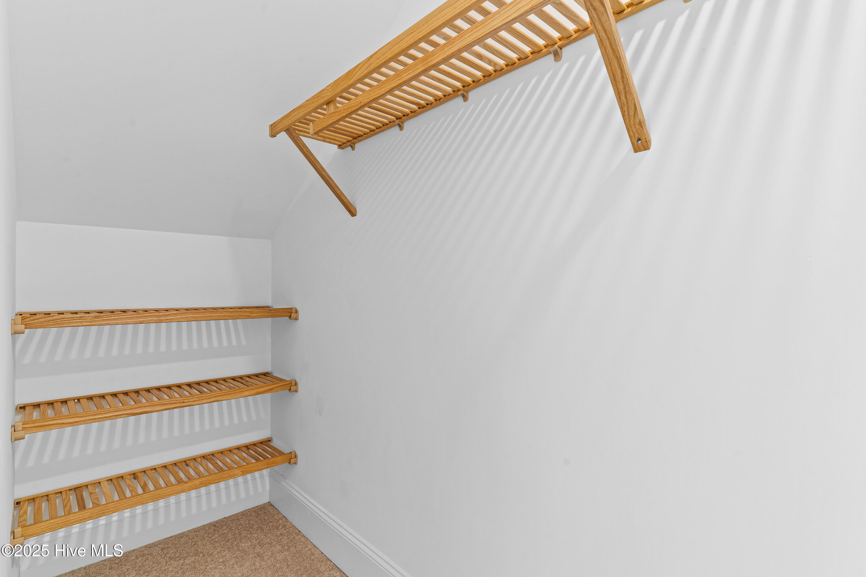 100529513 | Photo 38