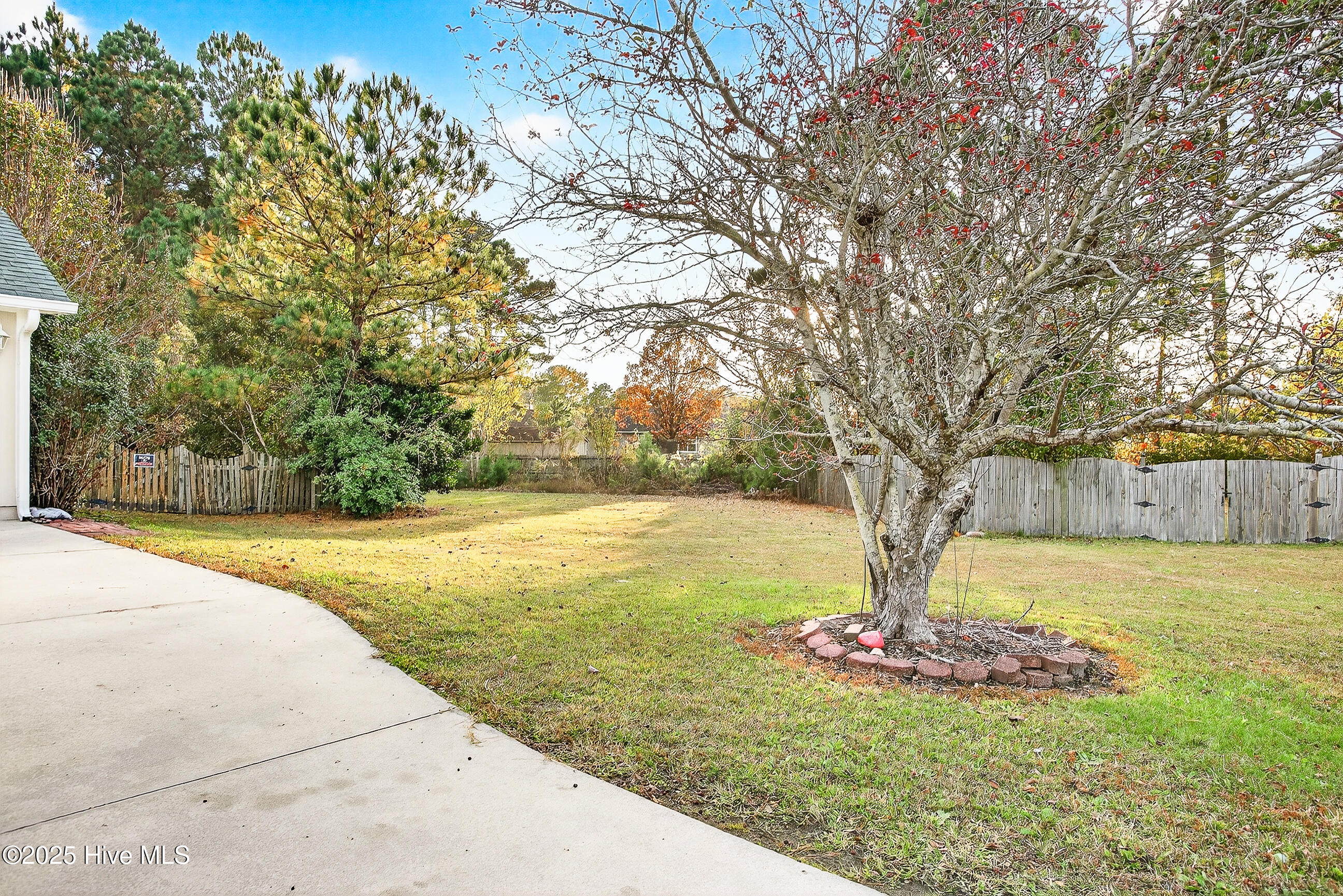 100541143 | Photo 27